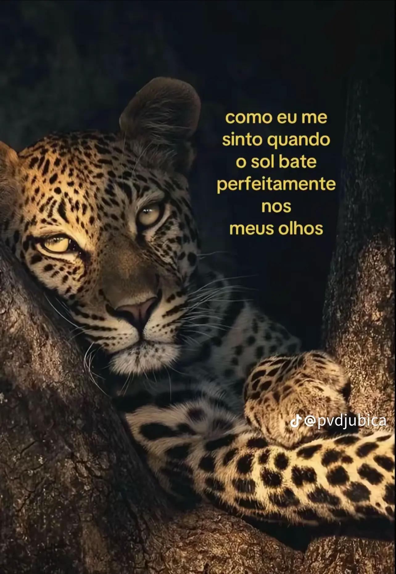 @Eloah Moreira