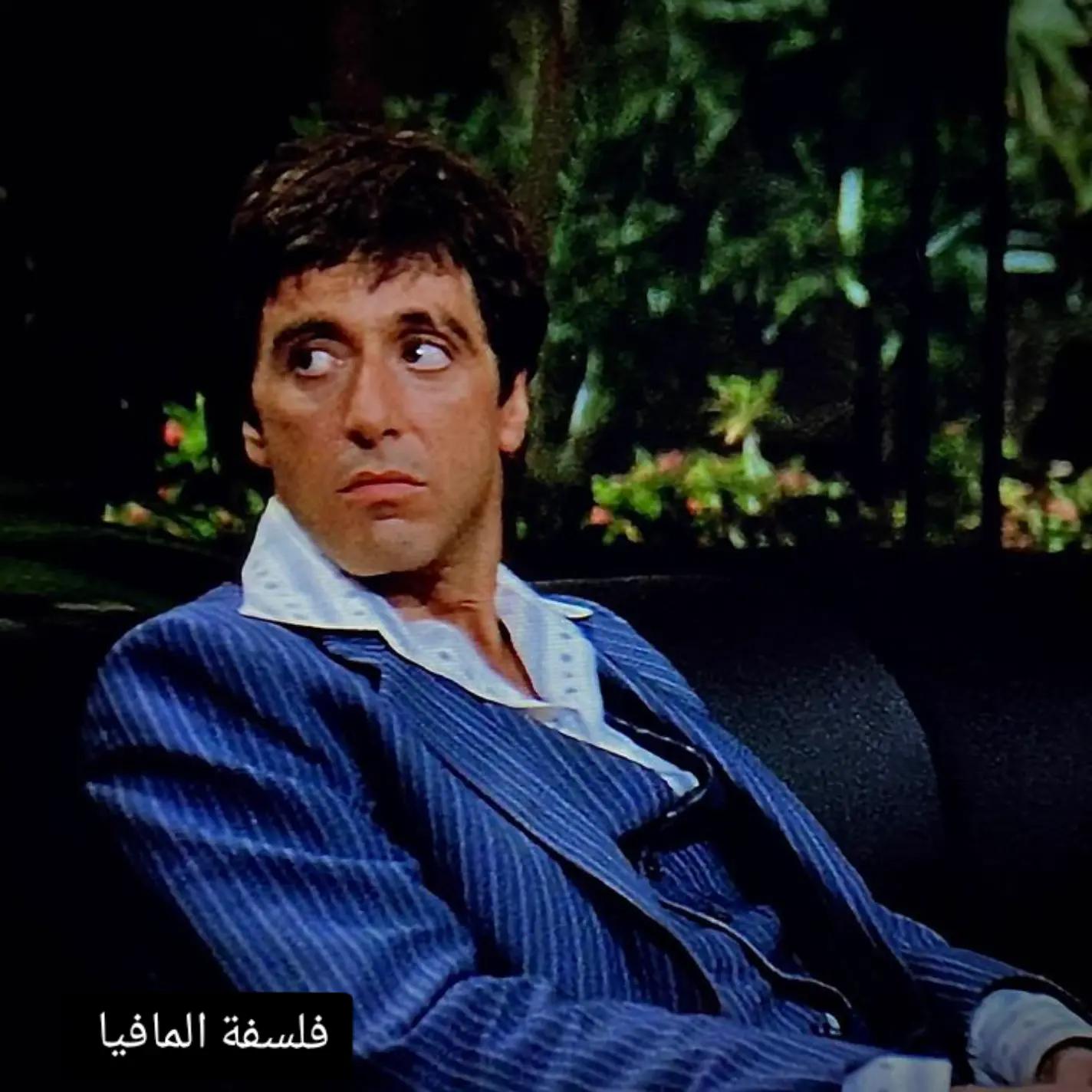 @๐ดโ ๏ธ alpacino