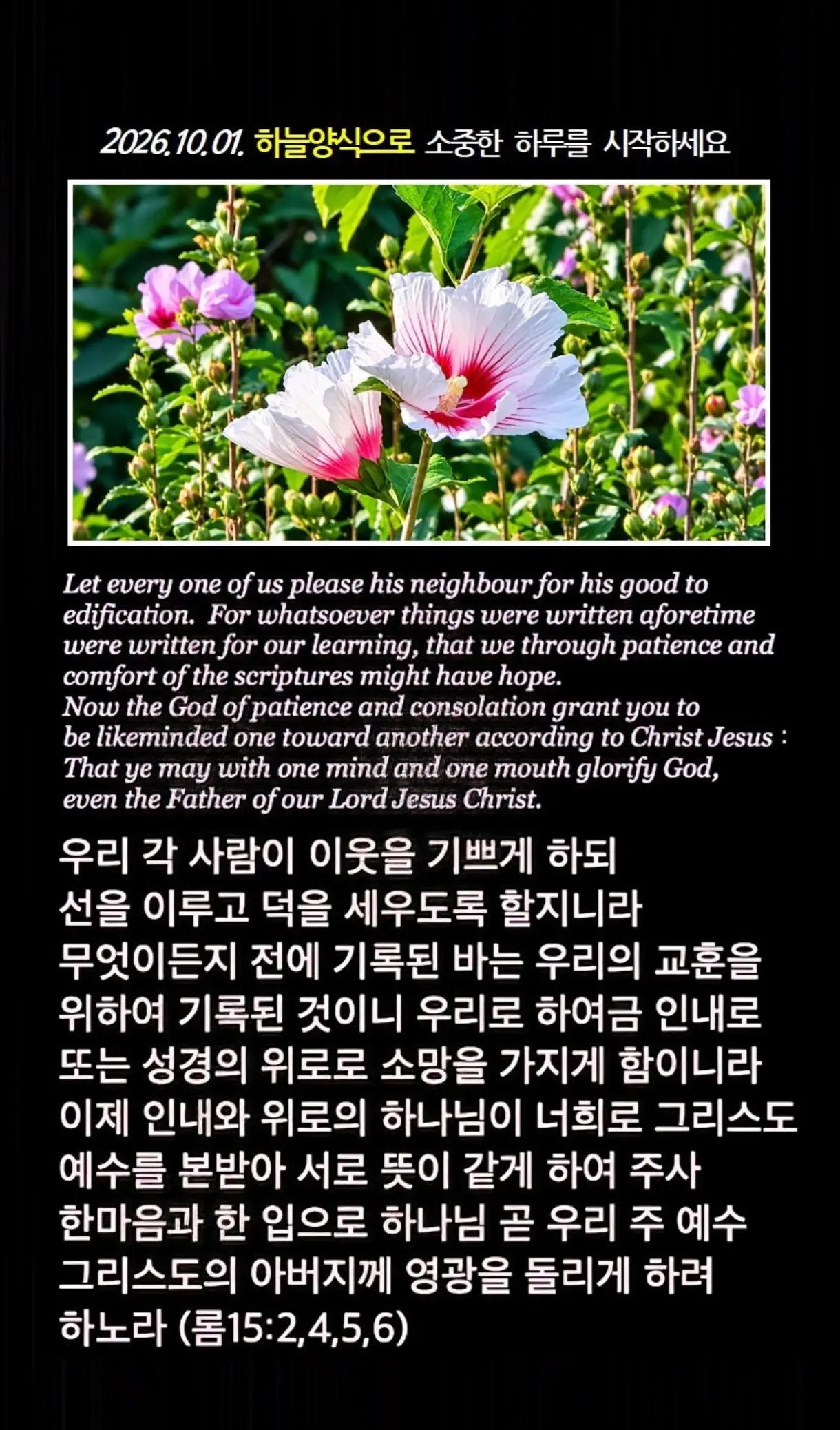 @피켓전도 김종일 목사