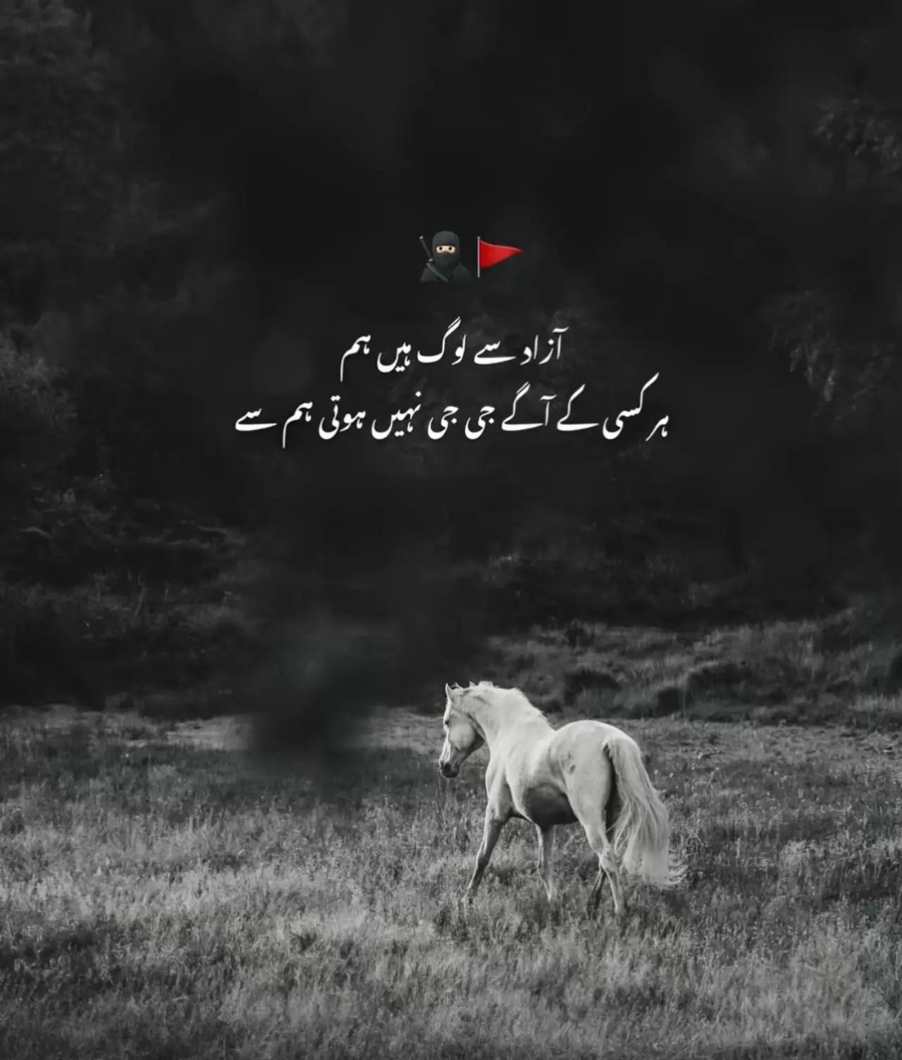 @🔥M R _ J U T T🔥