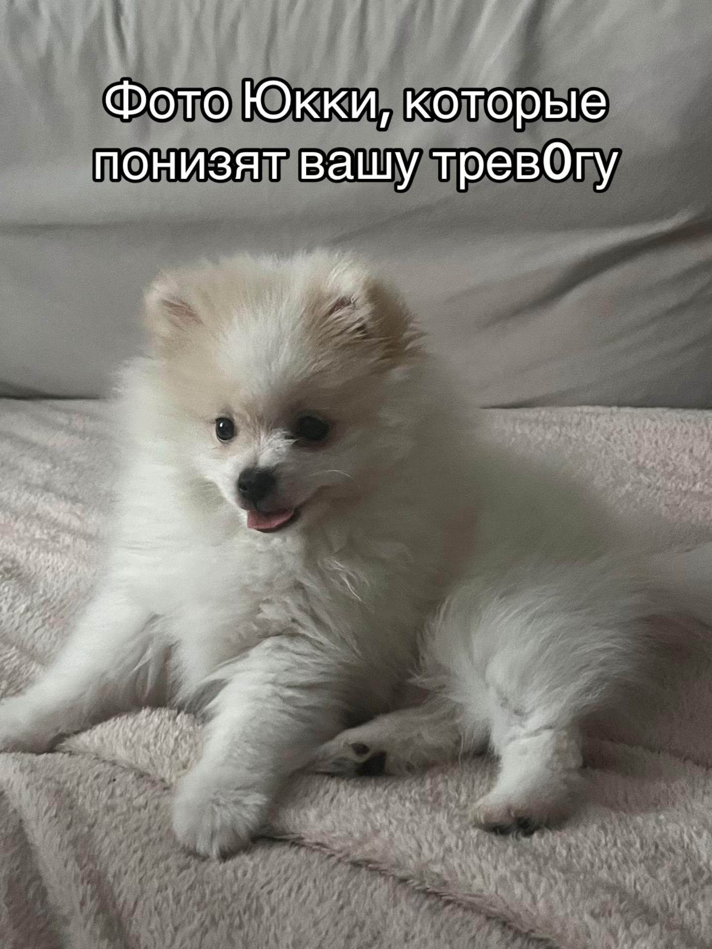 @๐ฐ ๐ด๐๐๐๐๐๐๐๐ ๐ฐ