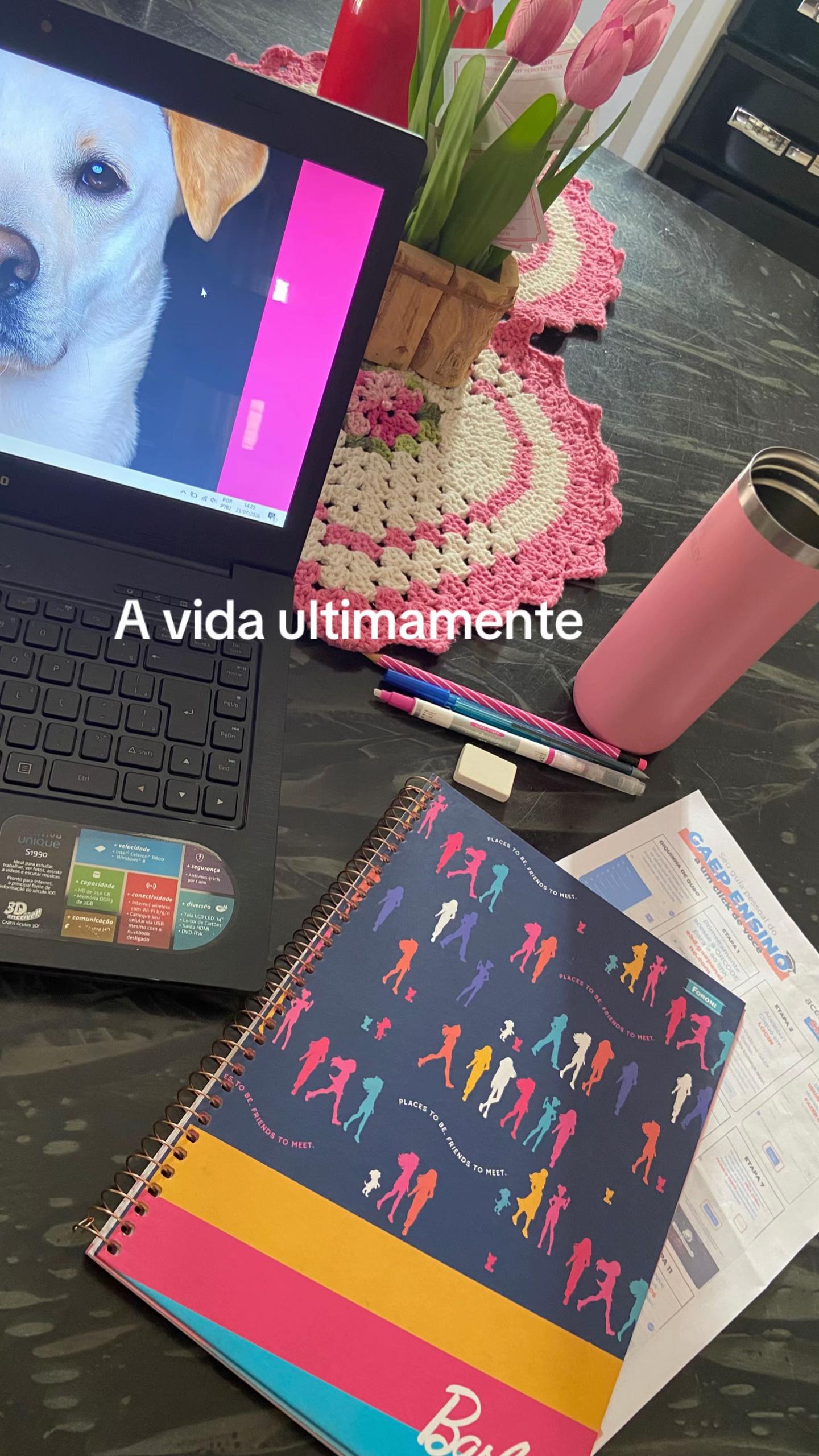 @T&aacute;lita Gomide