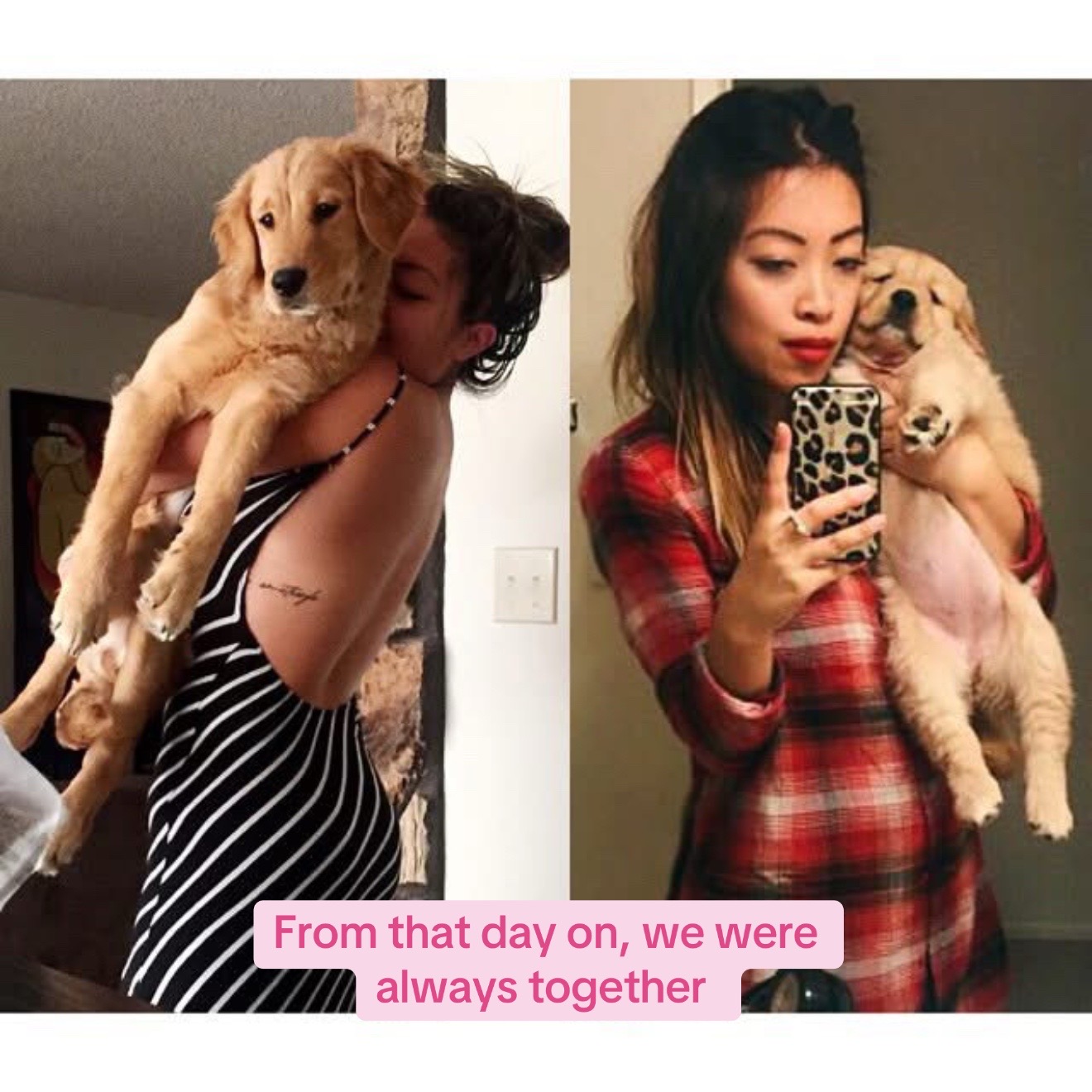 @ANGIE LIU
