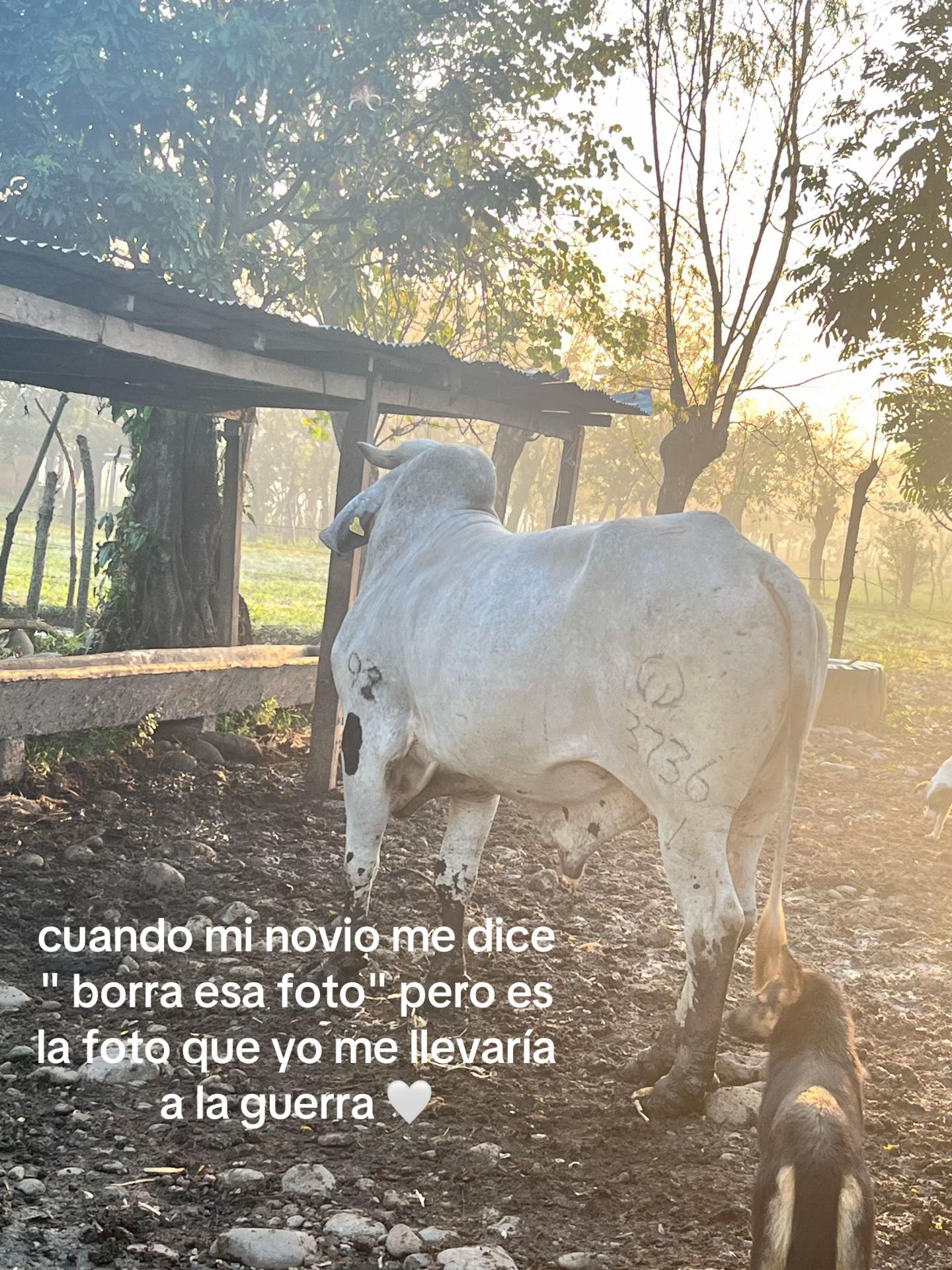 @nishany