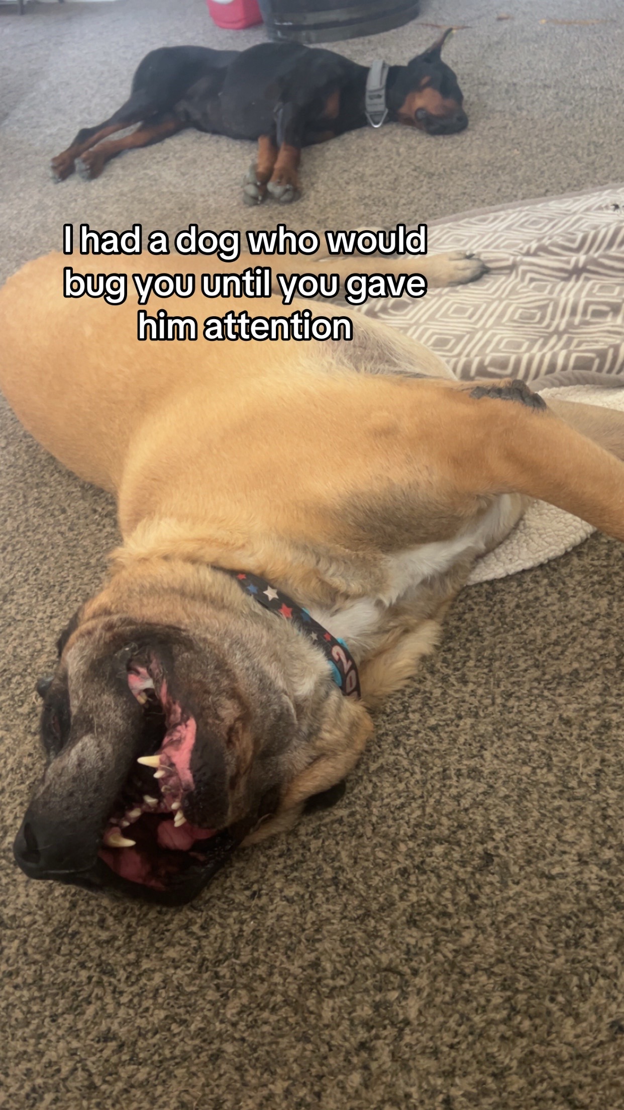 @𝐸𝓂𝒾