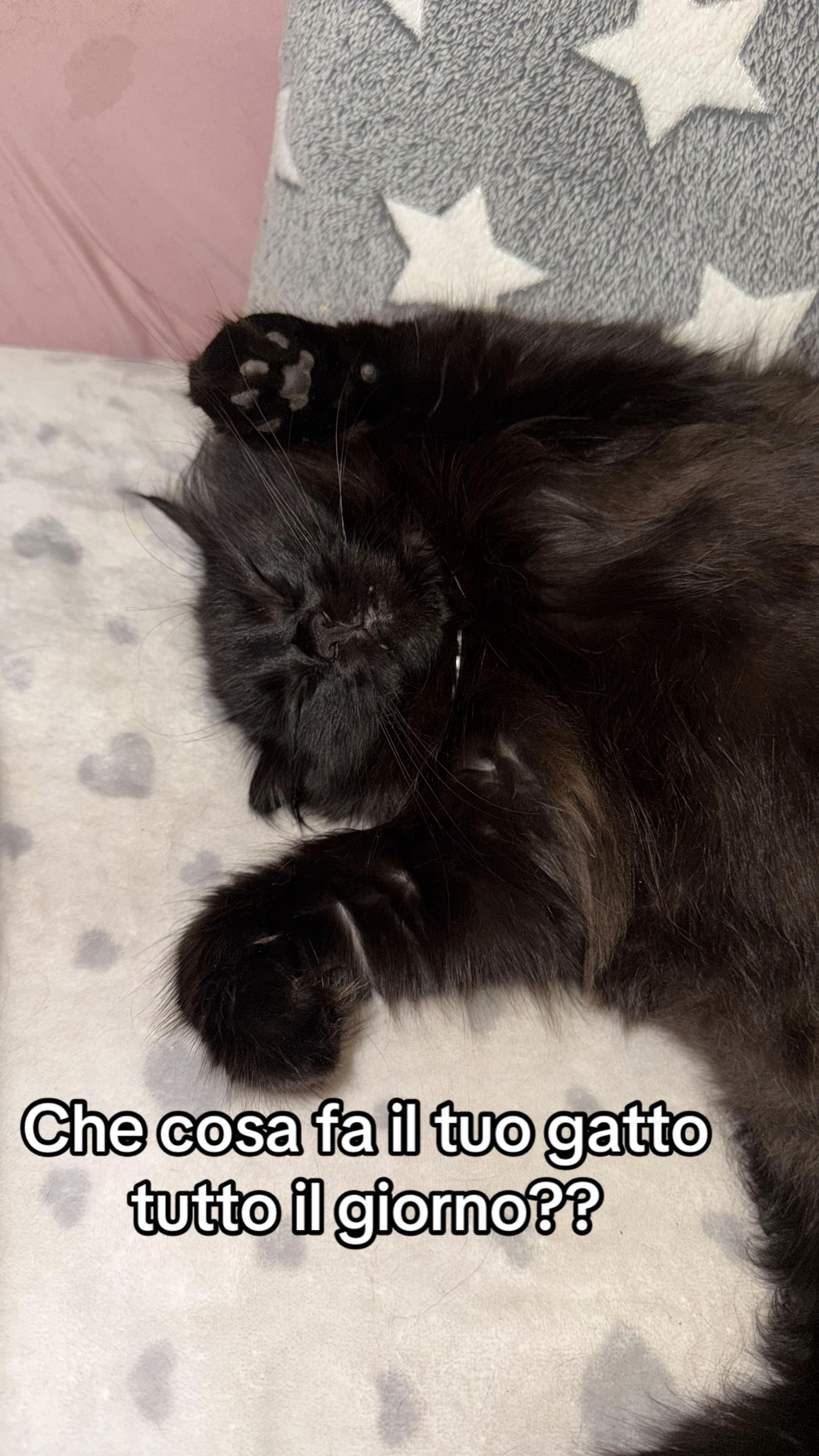 @Miky💙🖤