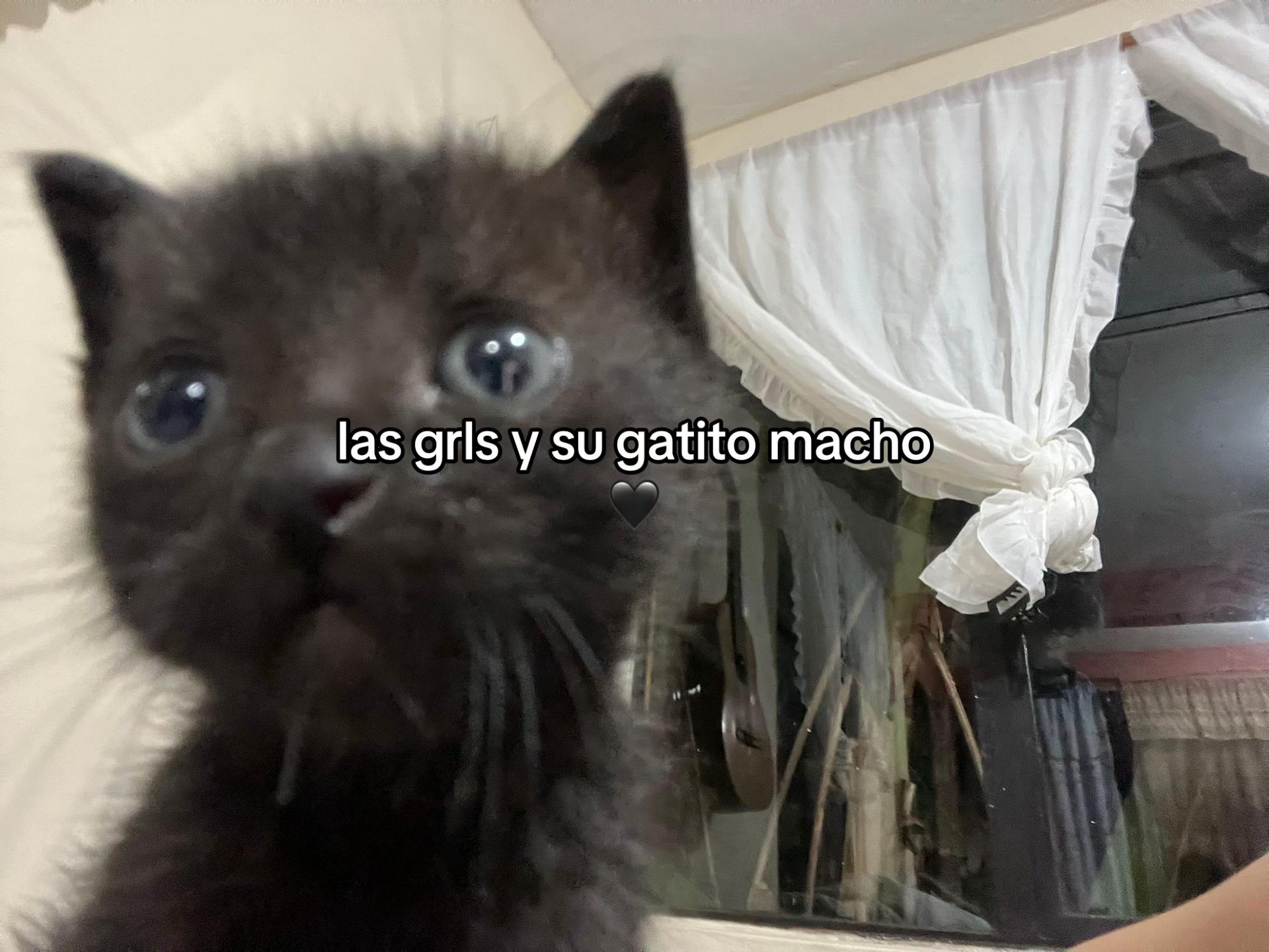 @𝙩𝙖𝙧𝙤༄ 𓇼