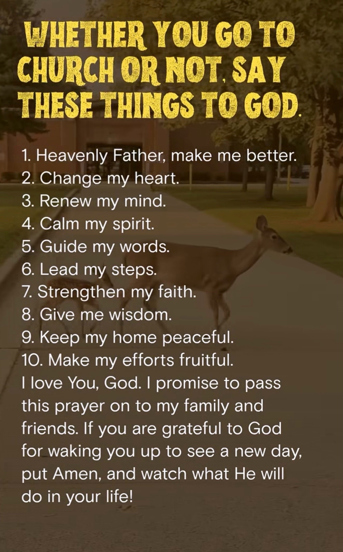 @FirstLadyP2611
