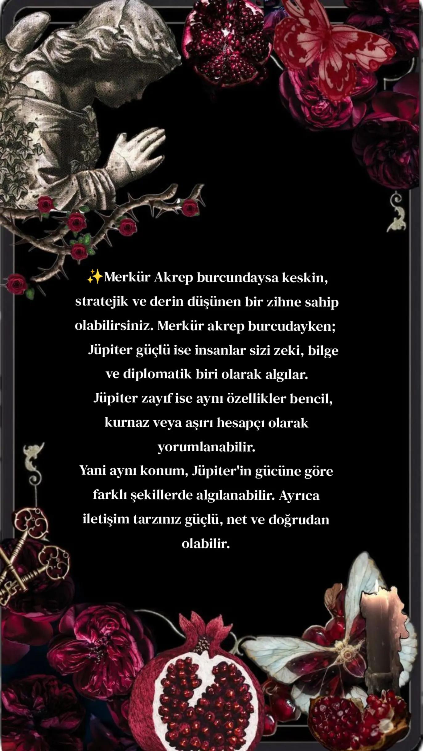 @✨ rohini ✨