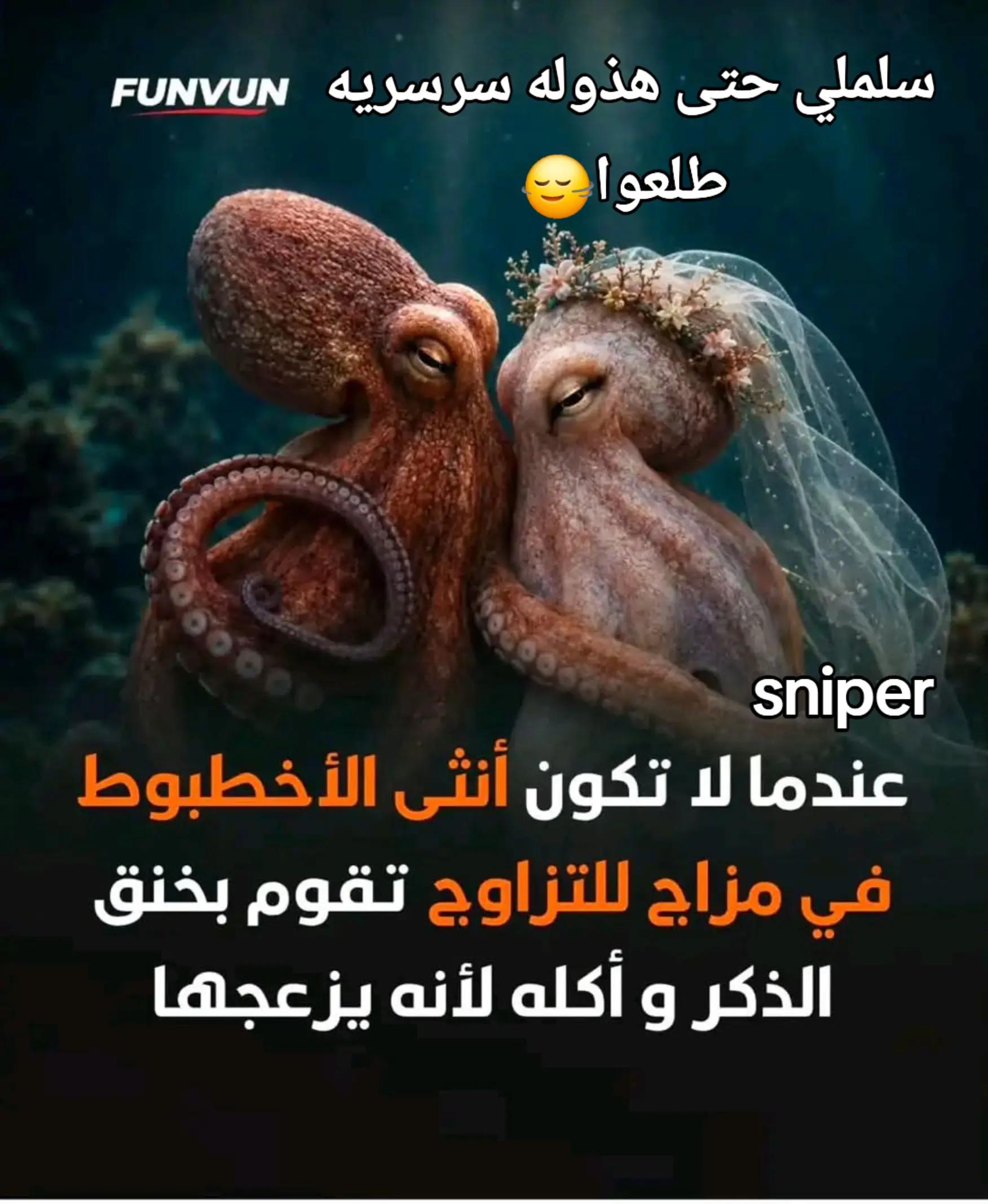 @🦅٠.٠🌪 sniper🌪٠.٠🦅