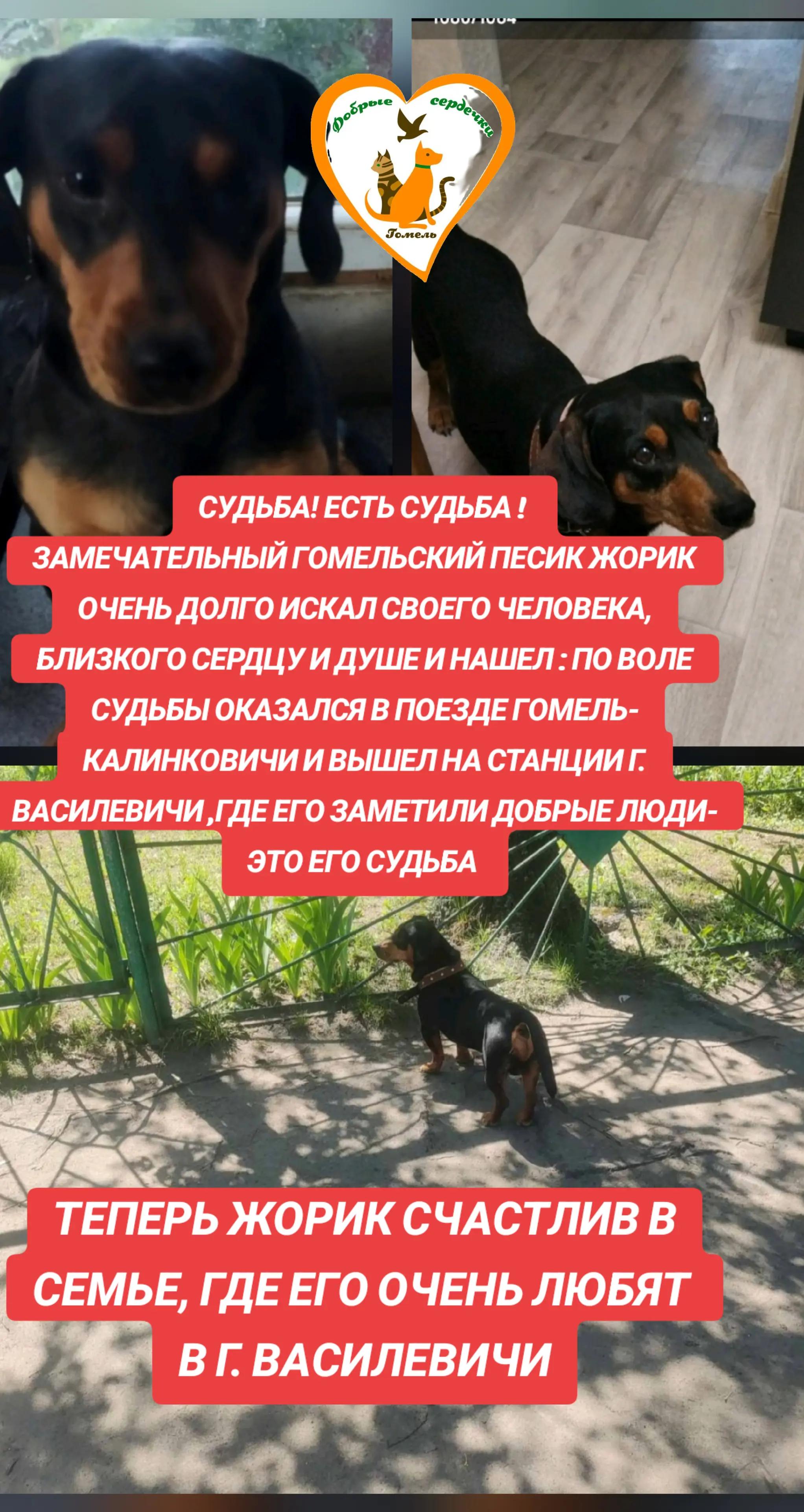 @Марина