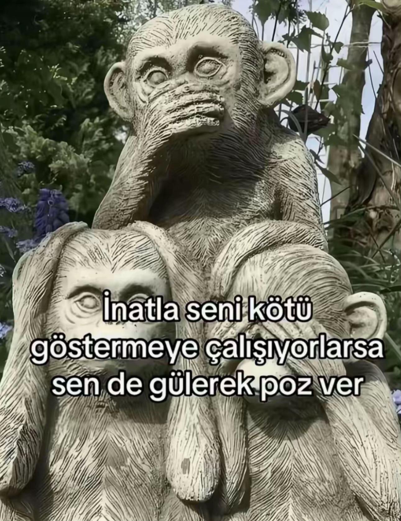 @Melek