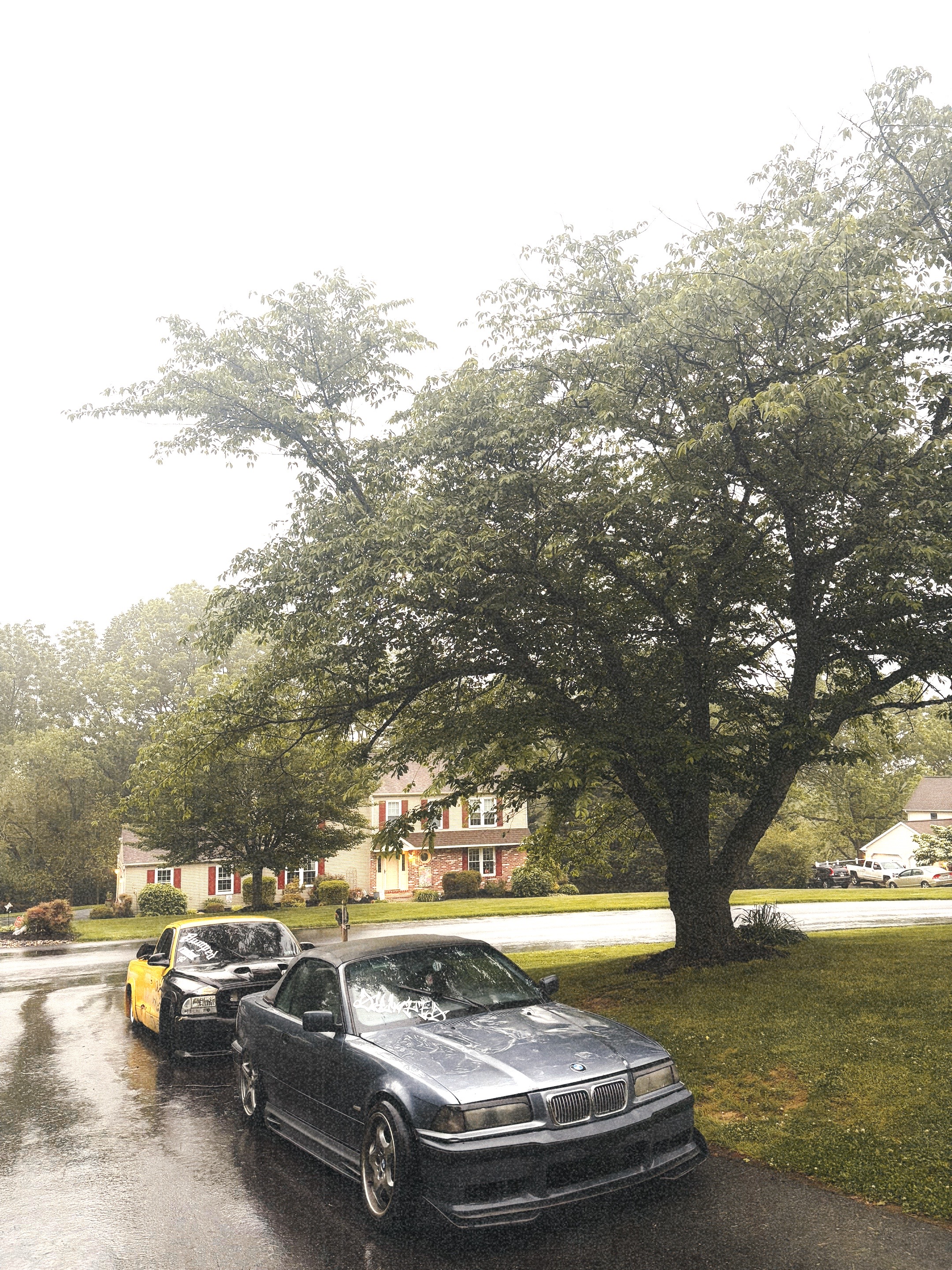 @36.dak
