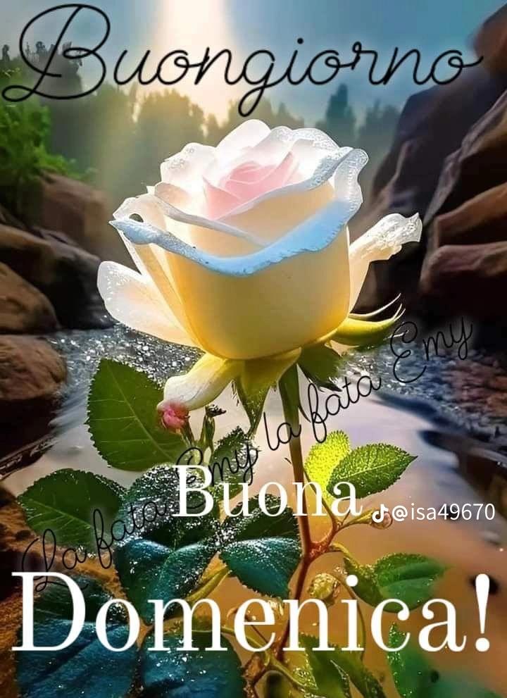 @a pazza di tikbtok