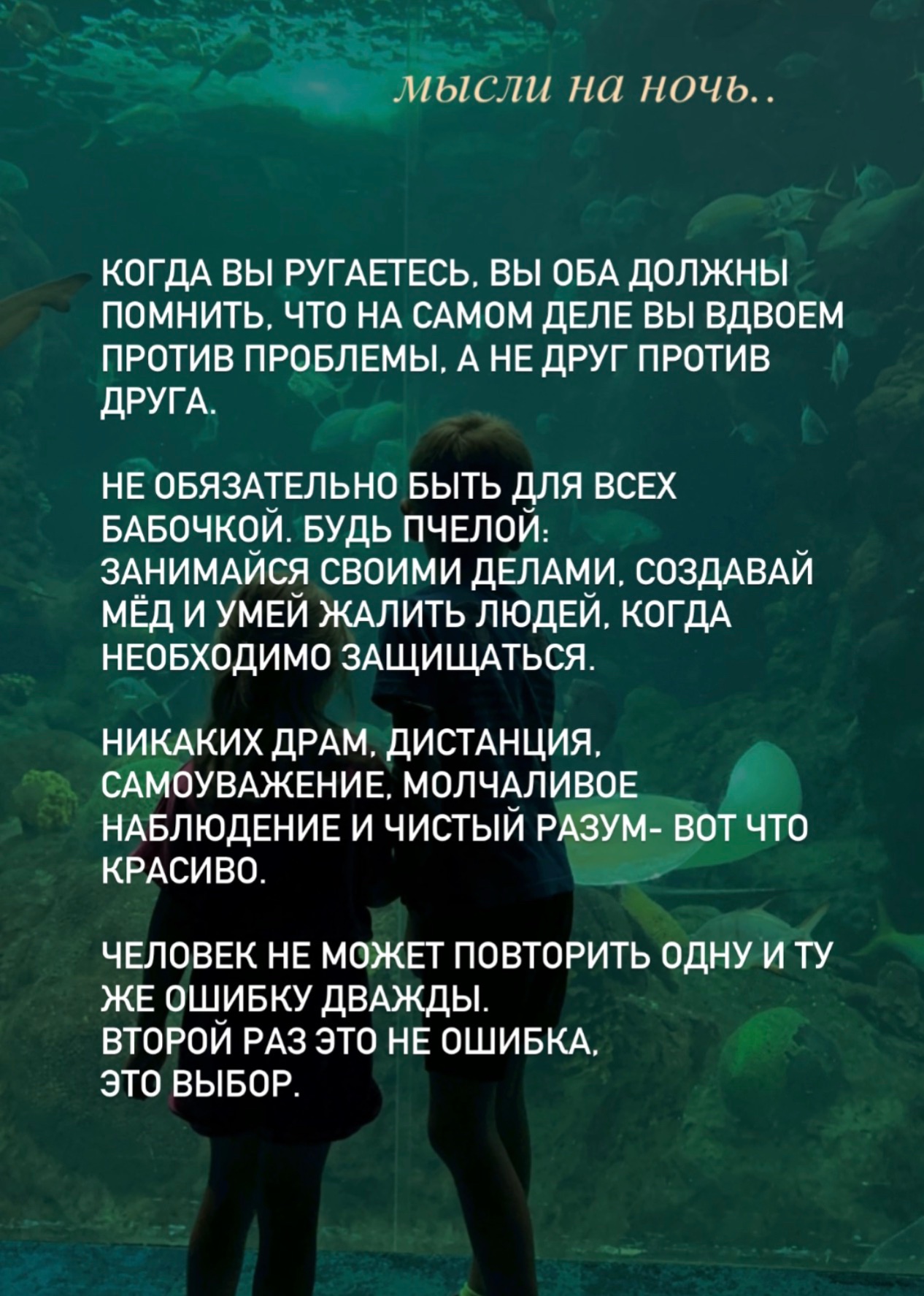 @svetlana_konovalov