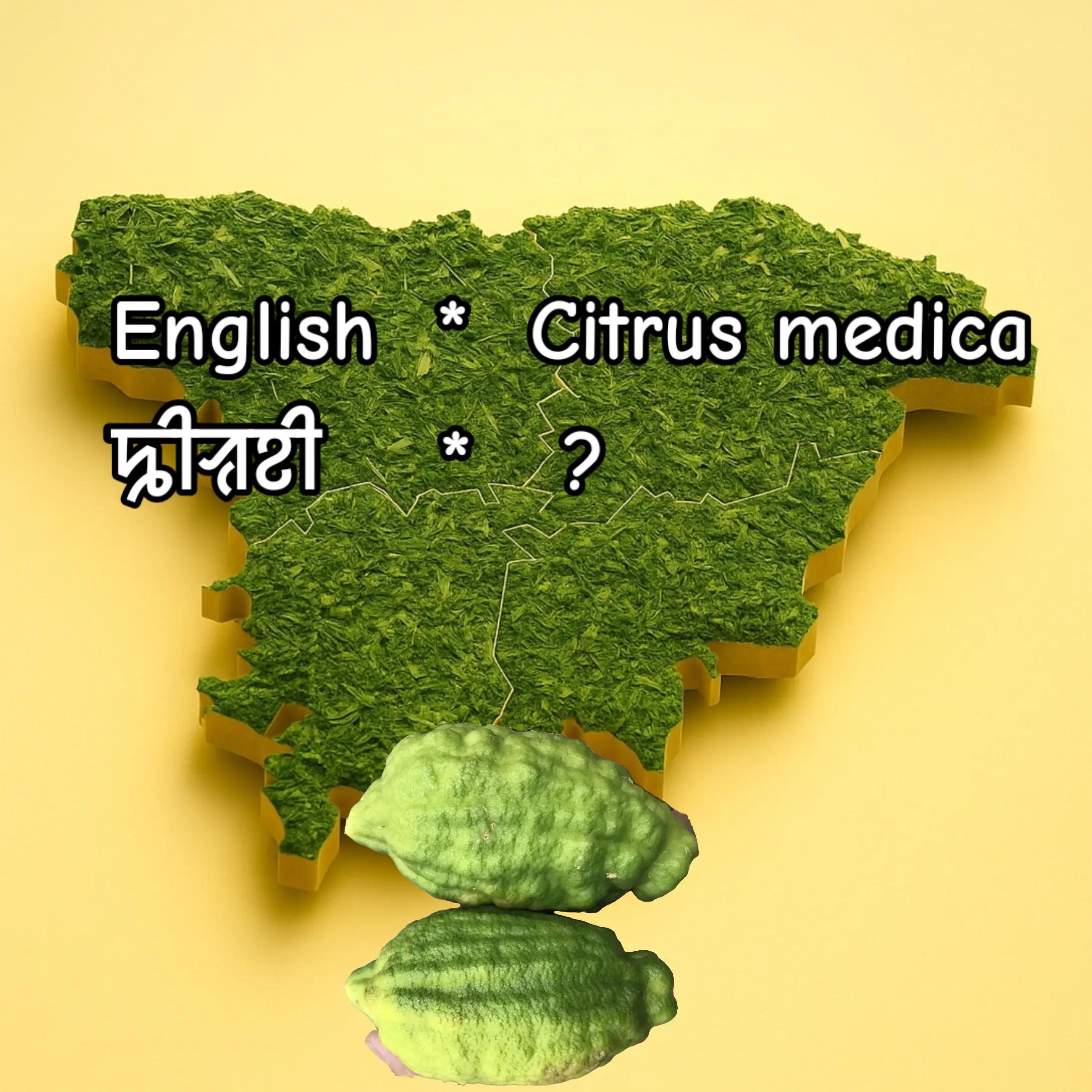 @Sylheti 🇧🇩