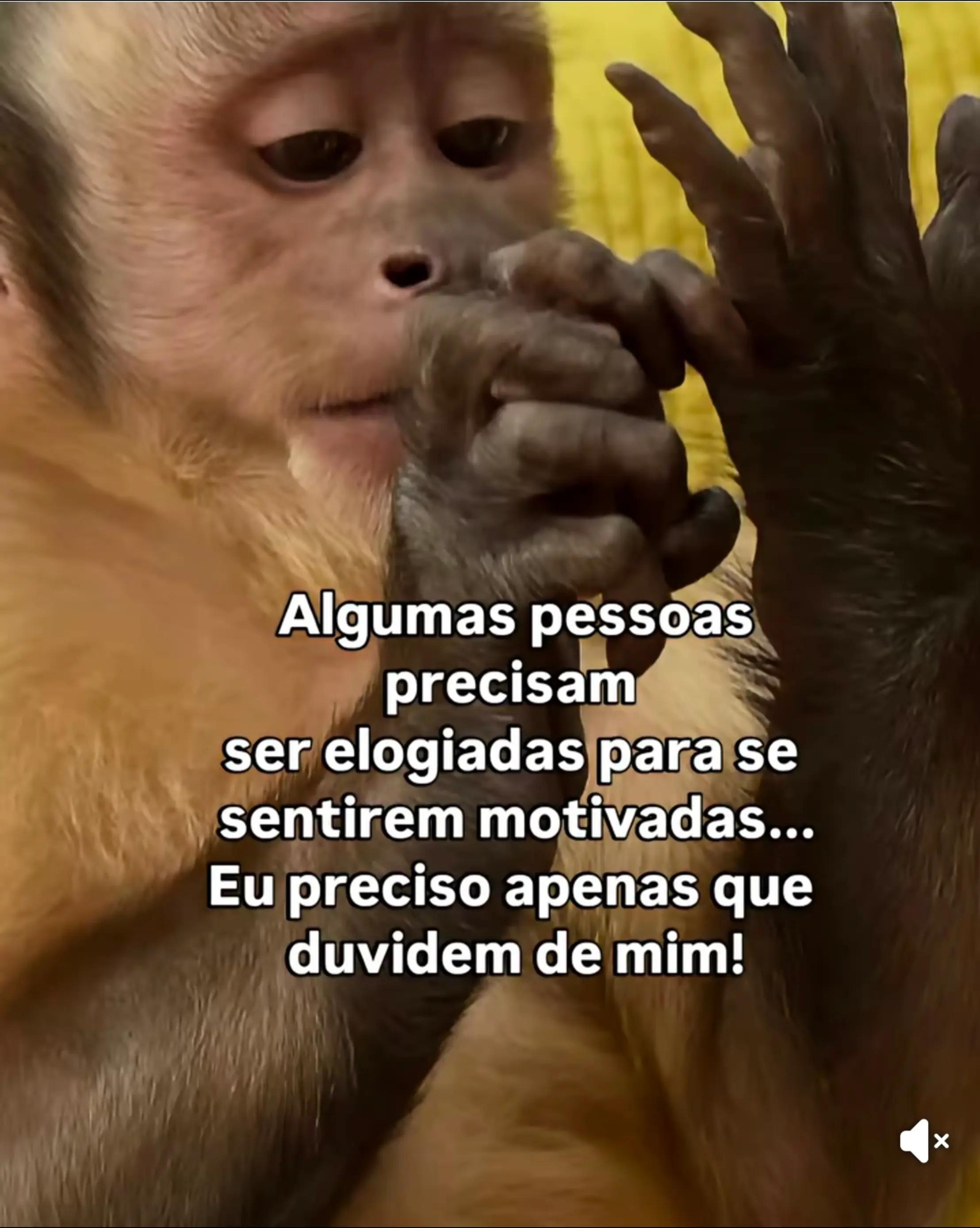@Andréa Marques😊