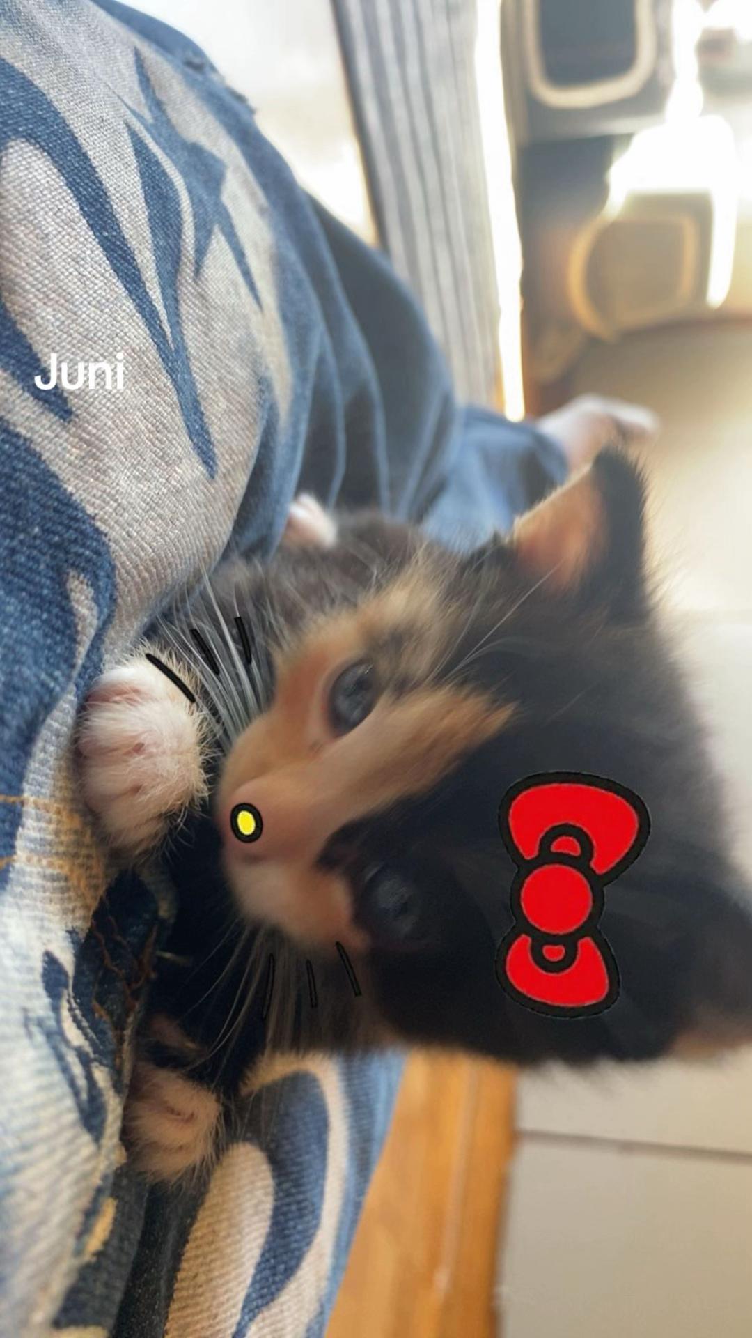 @๐๐๐๐๐_๐๐๐๐๐ซฐ๐ฝ๐