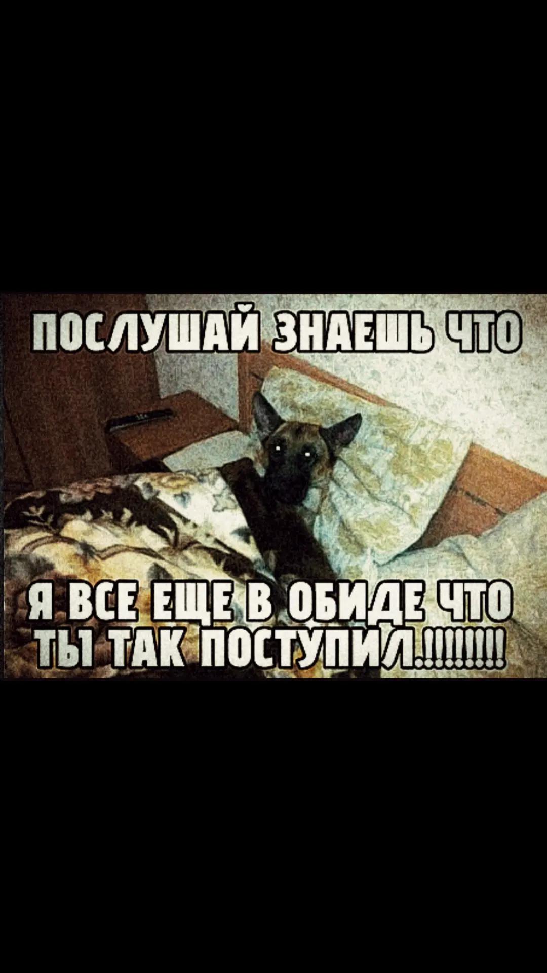 @Hund Von Togliatti.