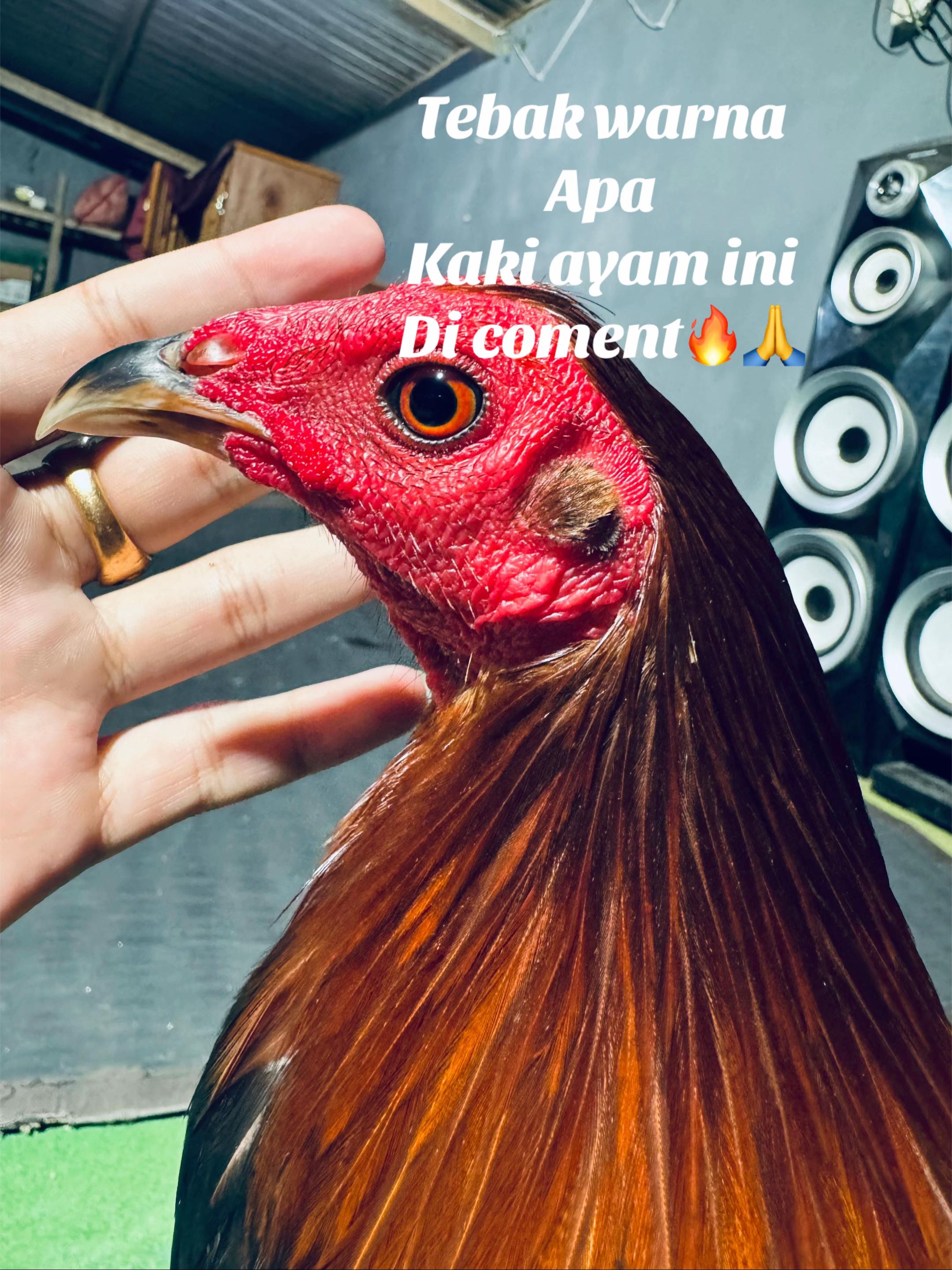 @RIAN FARM 1🇵🇭⭐️