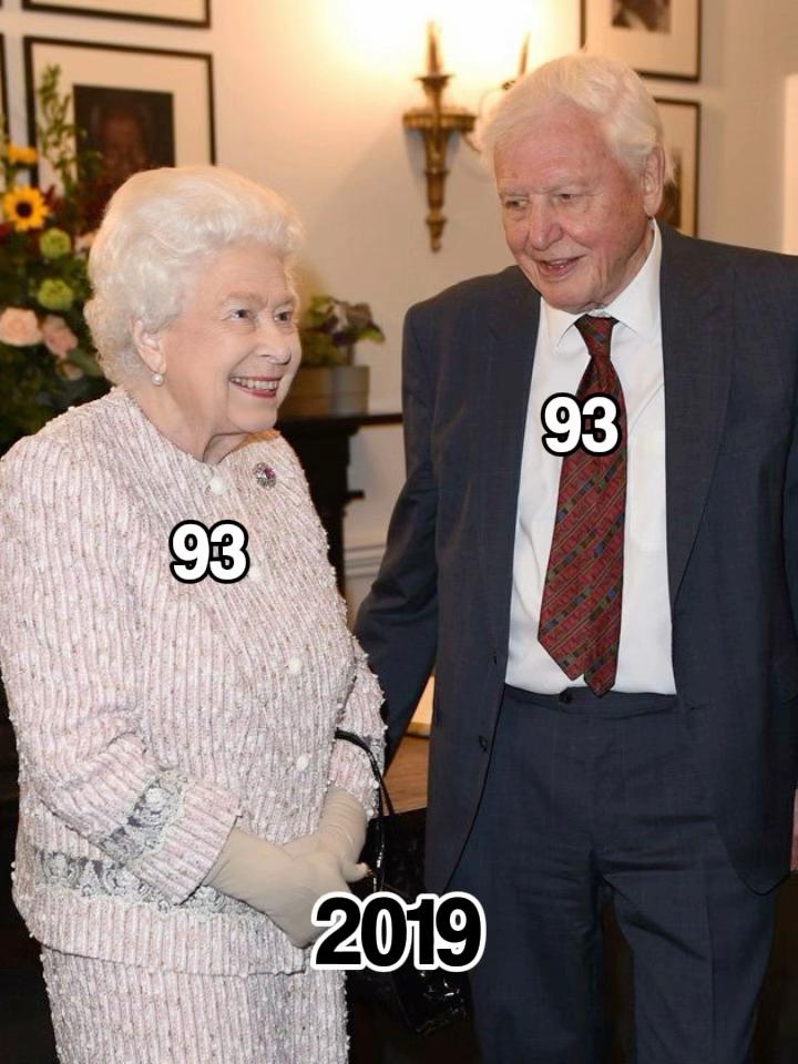 @historicroyalty