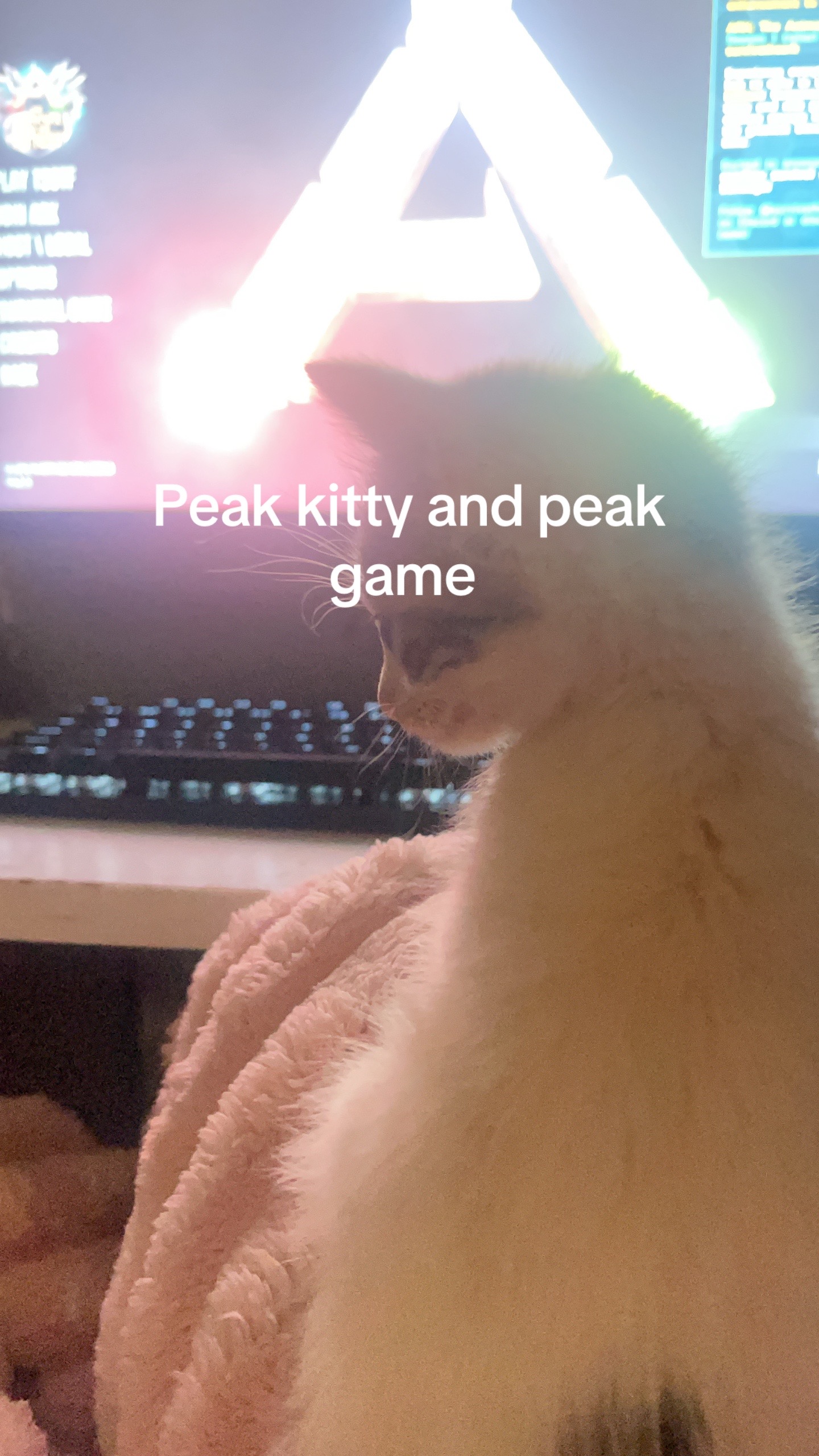 @kittencattuff