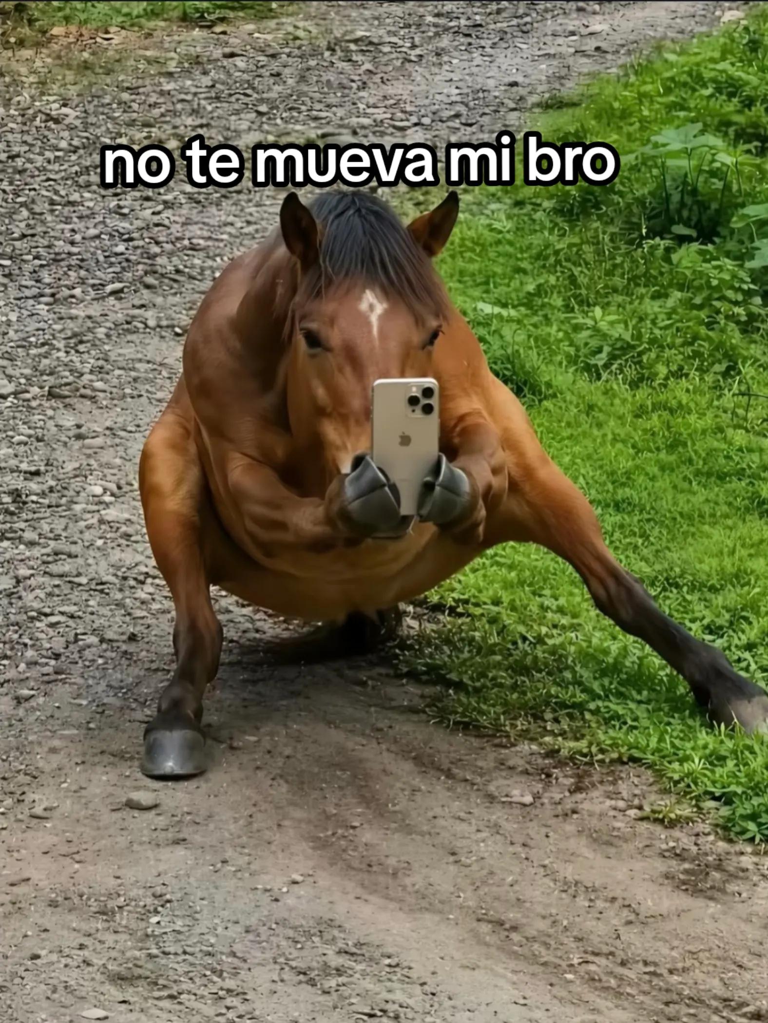 @Aiz_bk