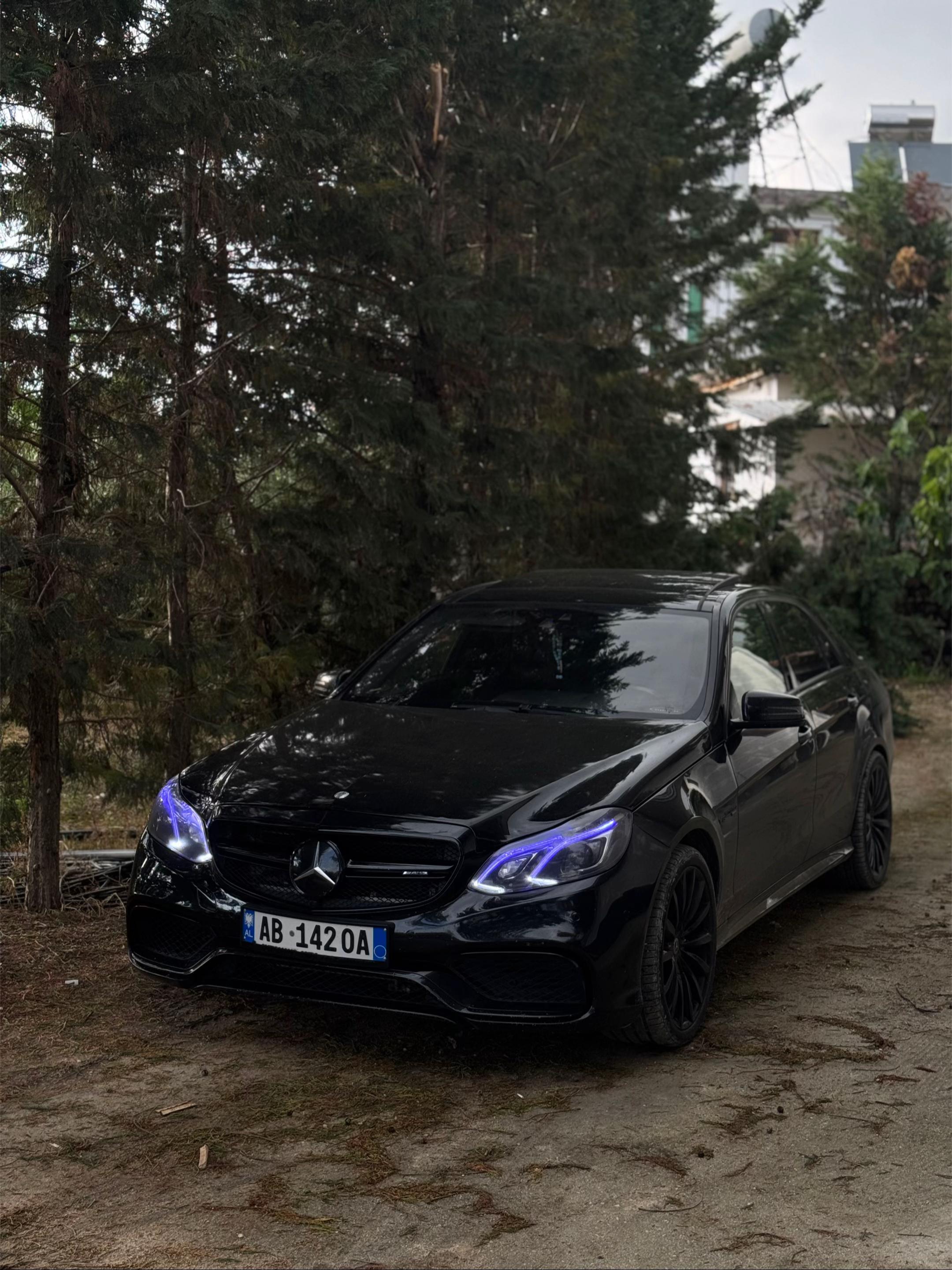 @Lavio🦈