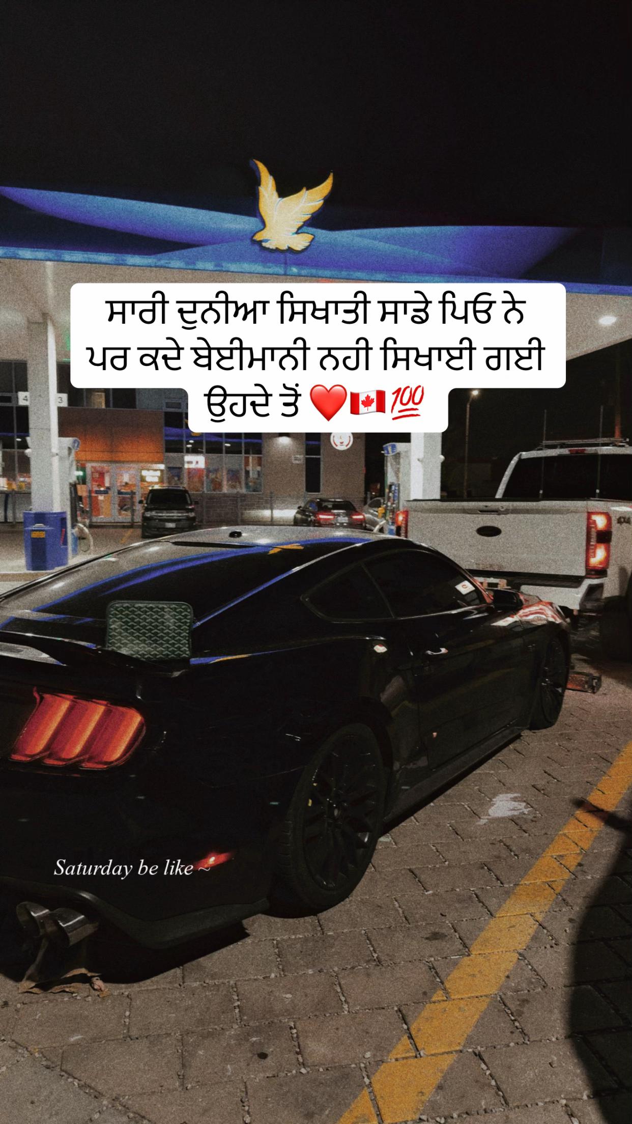 @vehlijanta761