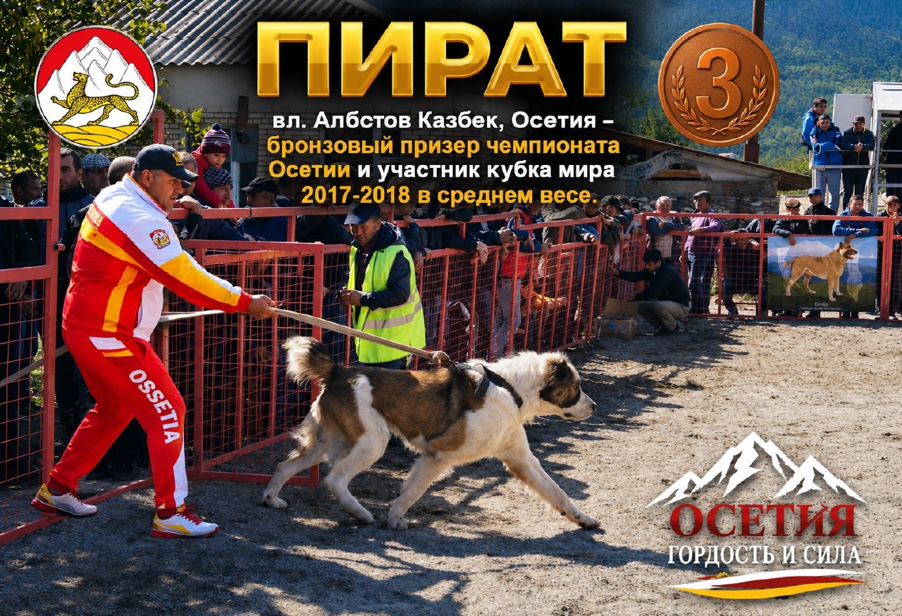 @Собачьи Легенды
