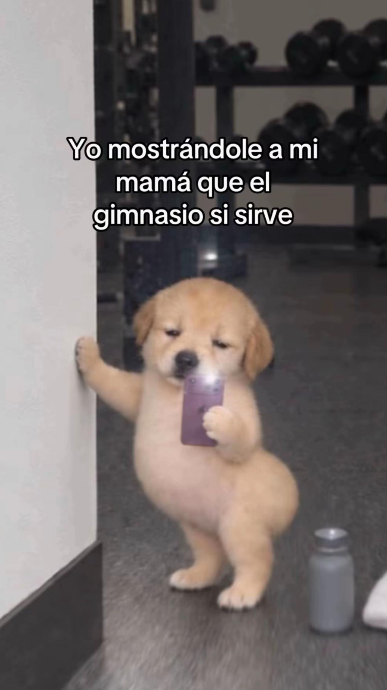 @️Skar