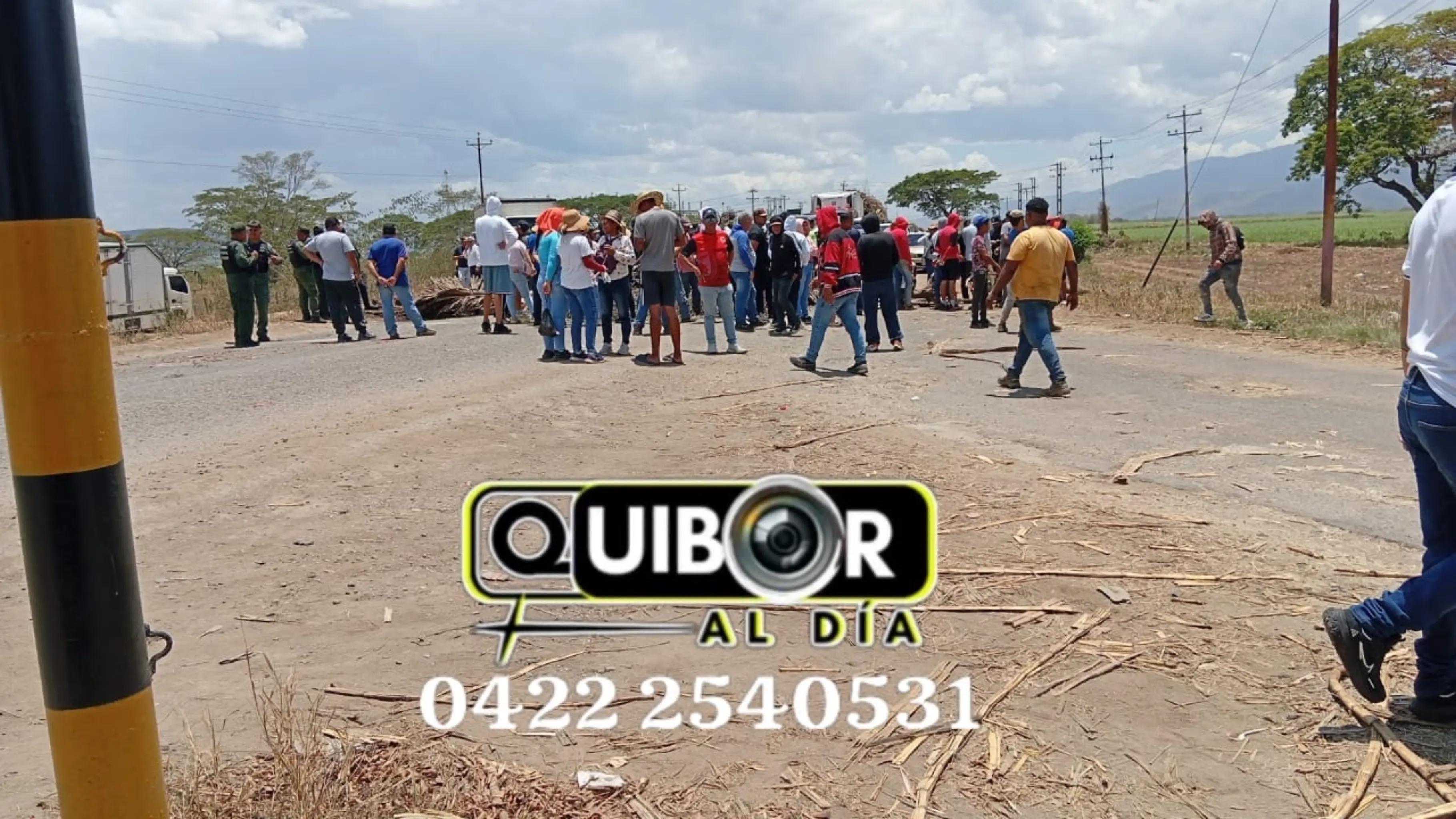 @Quiboraldia
