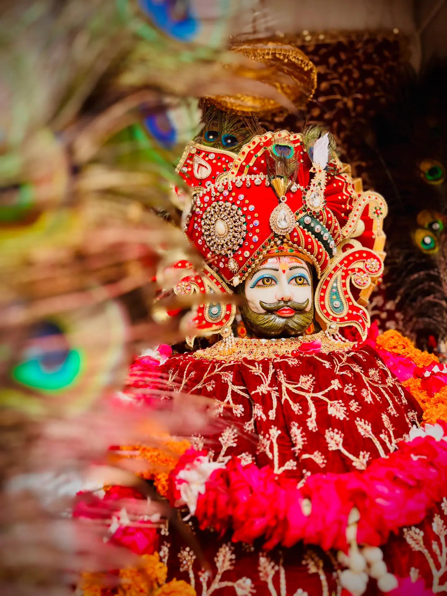 @shree shyam premi🫶🚩🕉️✨