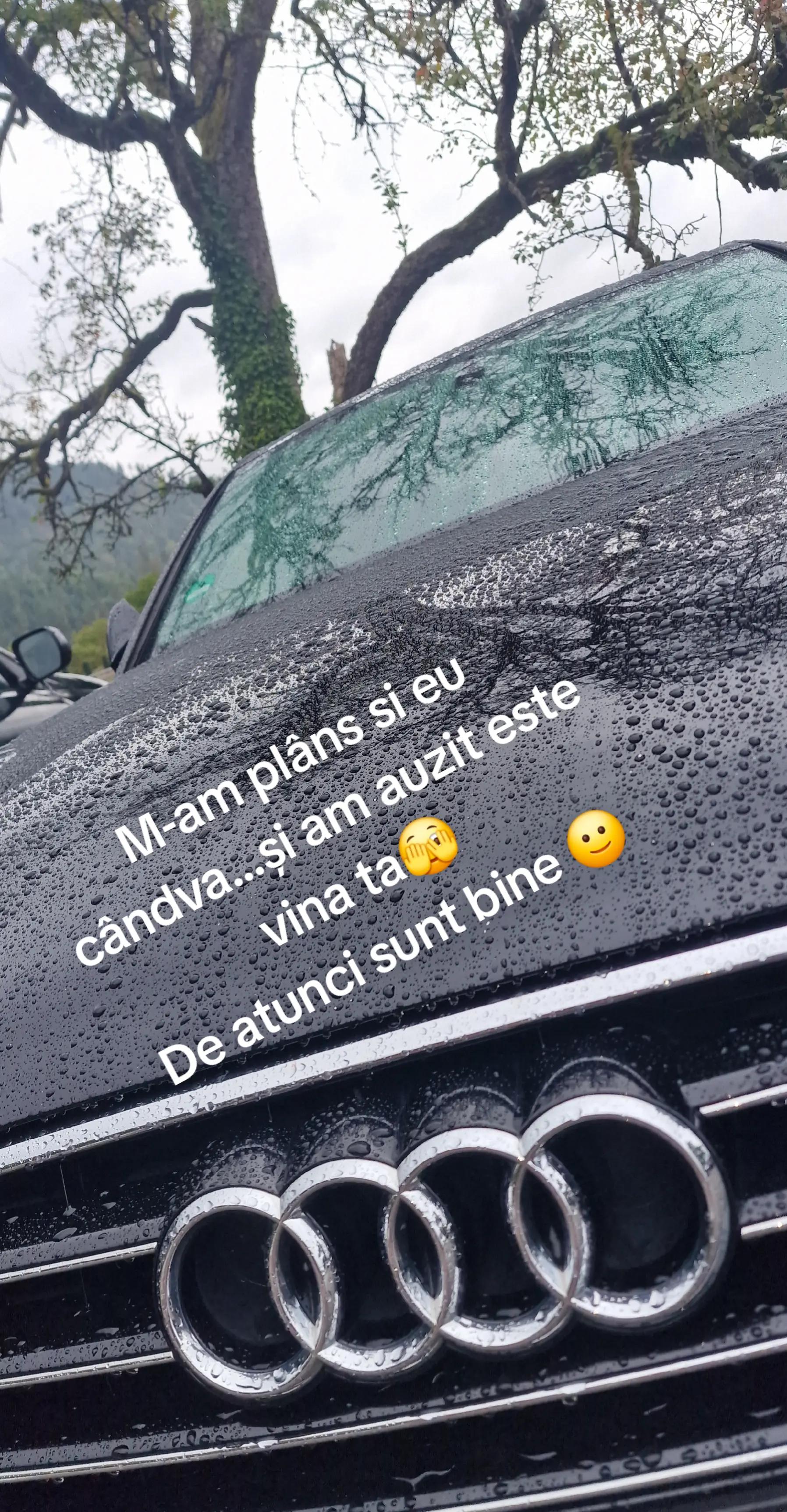 @Mihai Marica279