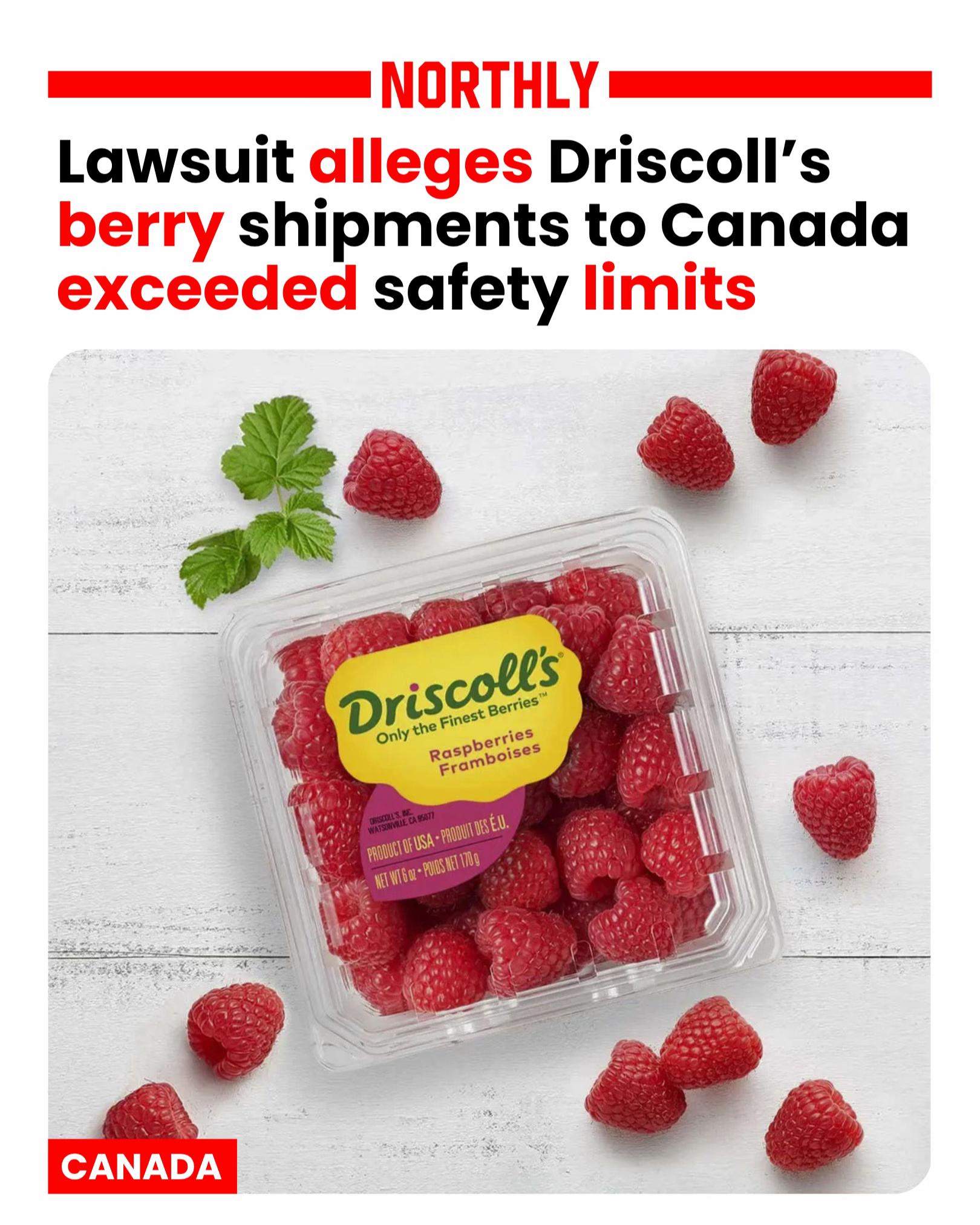 @northlycanada
