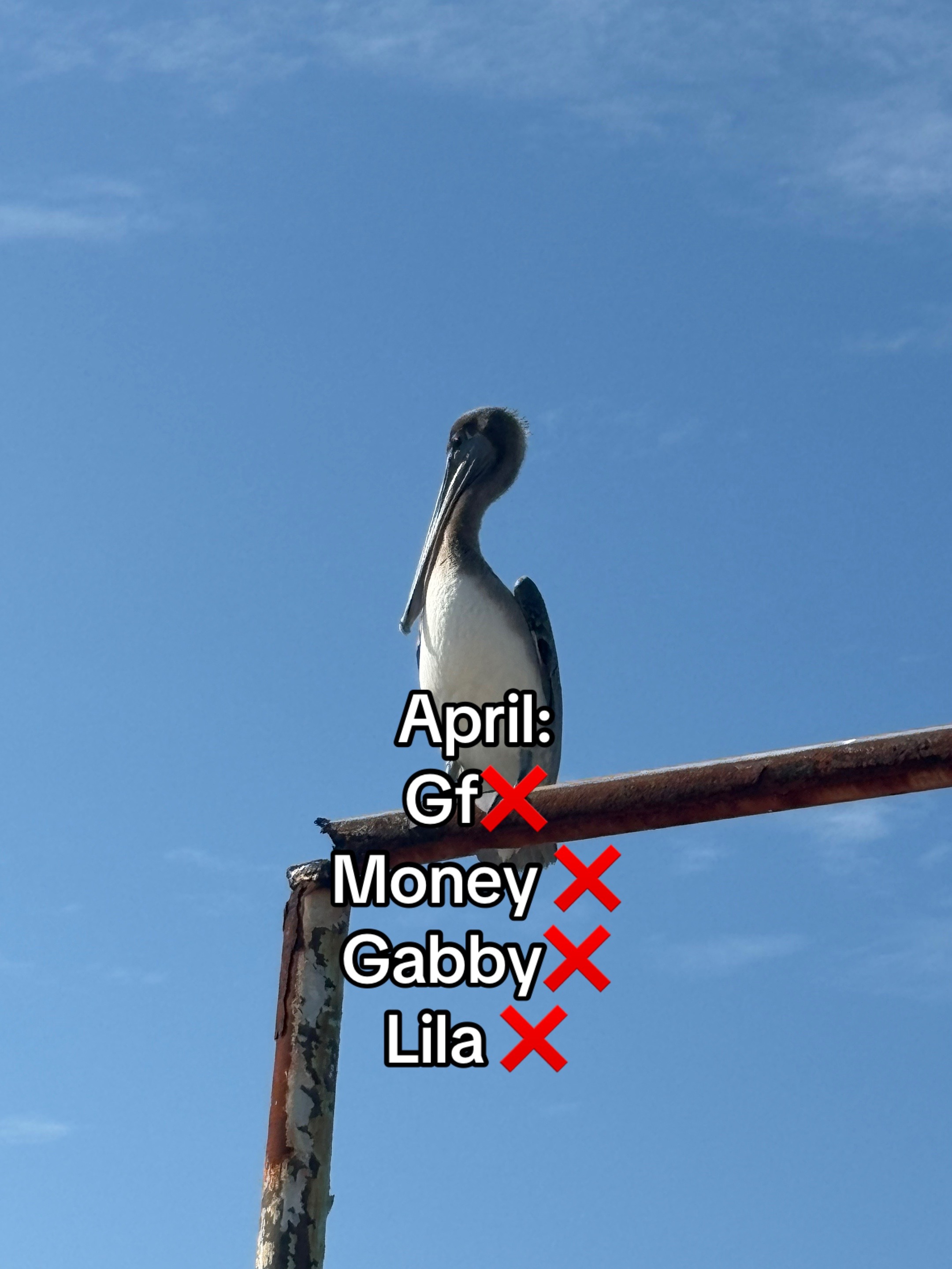 @&bull;