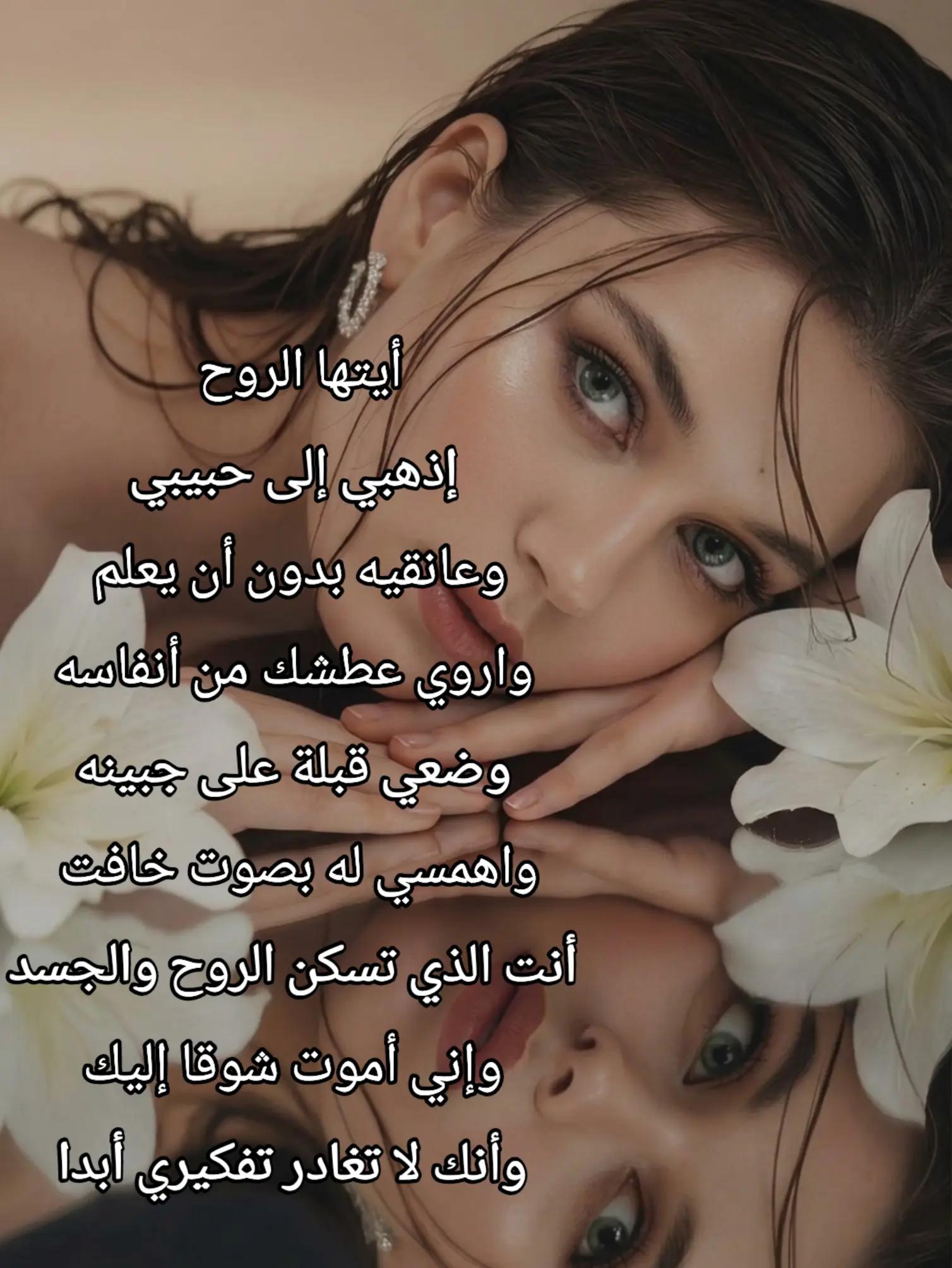 @🕊𓍯 𝒟𝒶𝒻𝒶 𝒜𝓁ℛℴ𝓊𝒽 𓍯 🤍