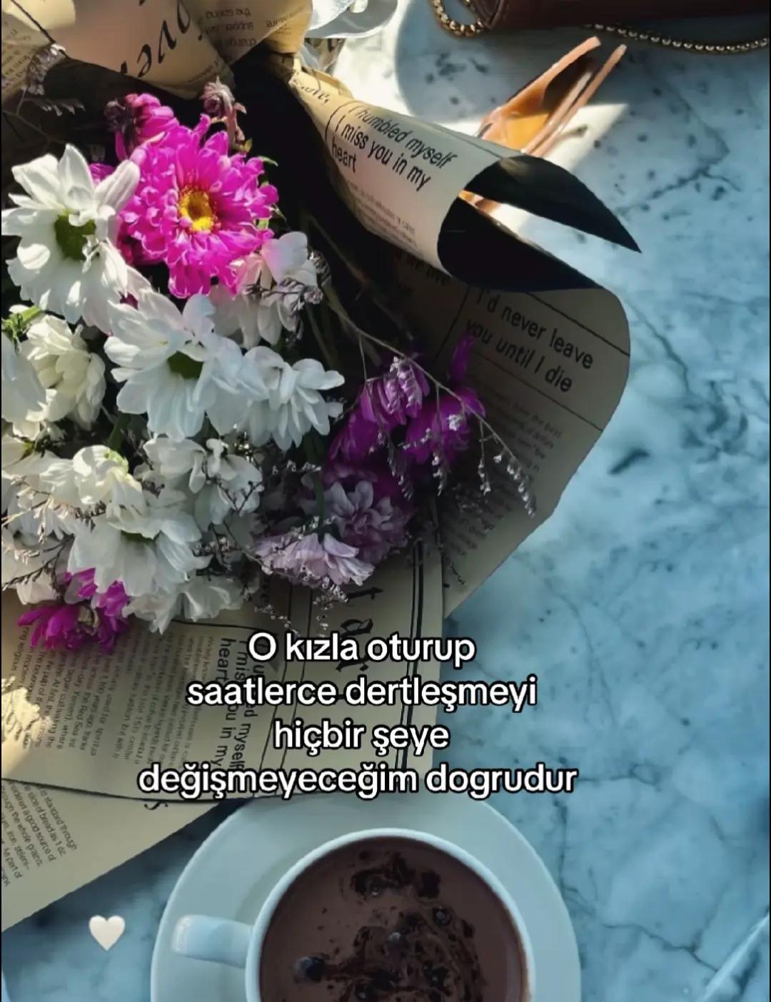 @ÁŠLî。✧
