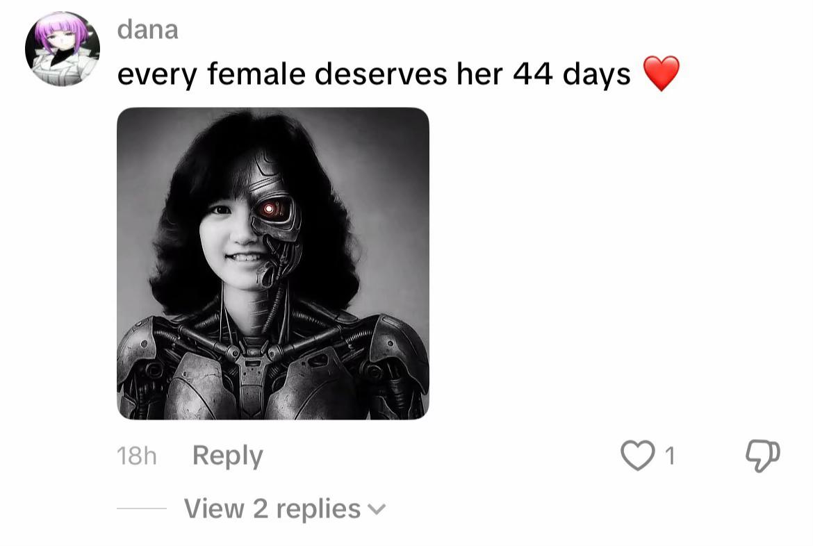 @femboykriegerin