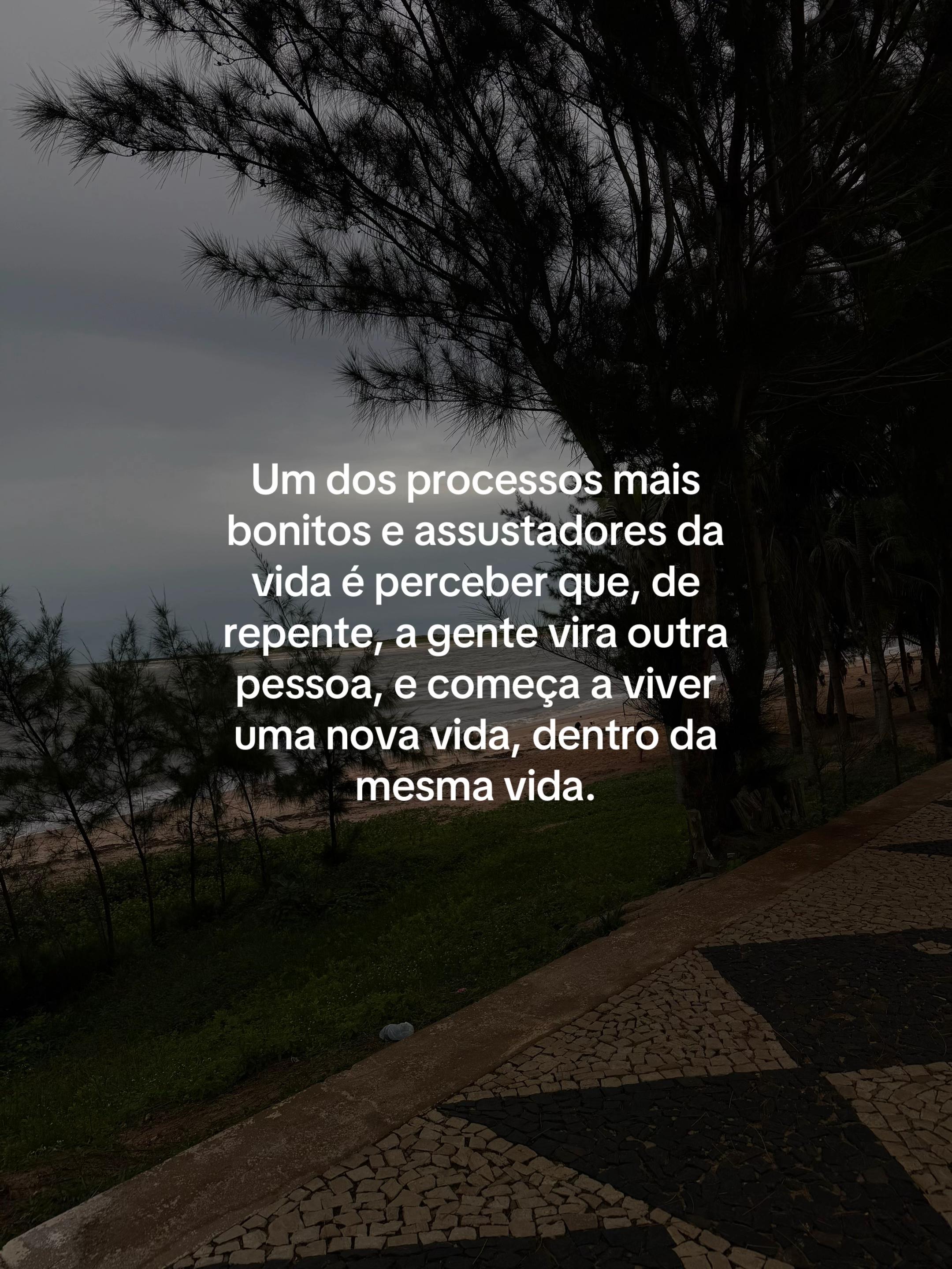 @Érika Portela