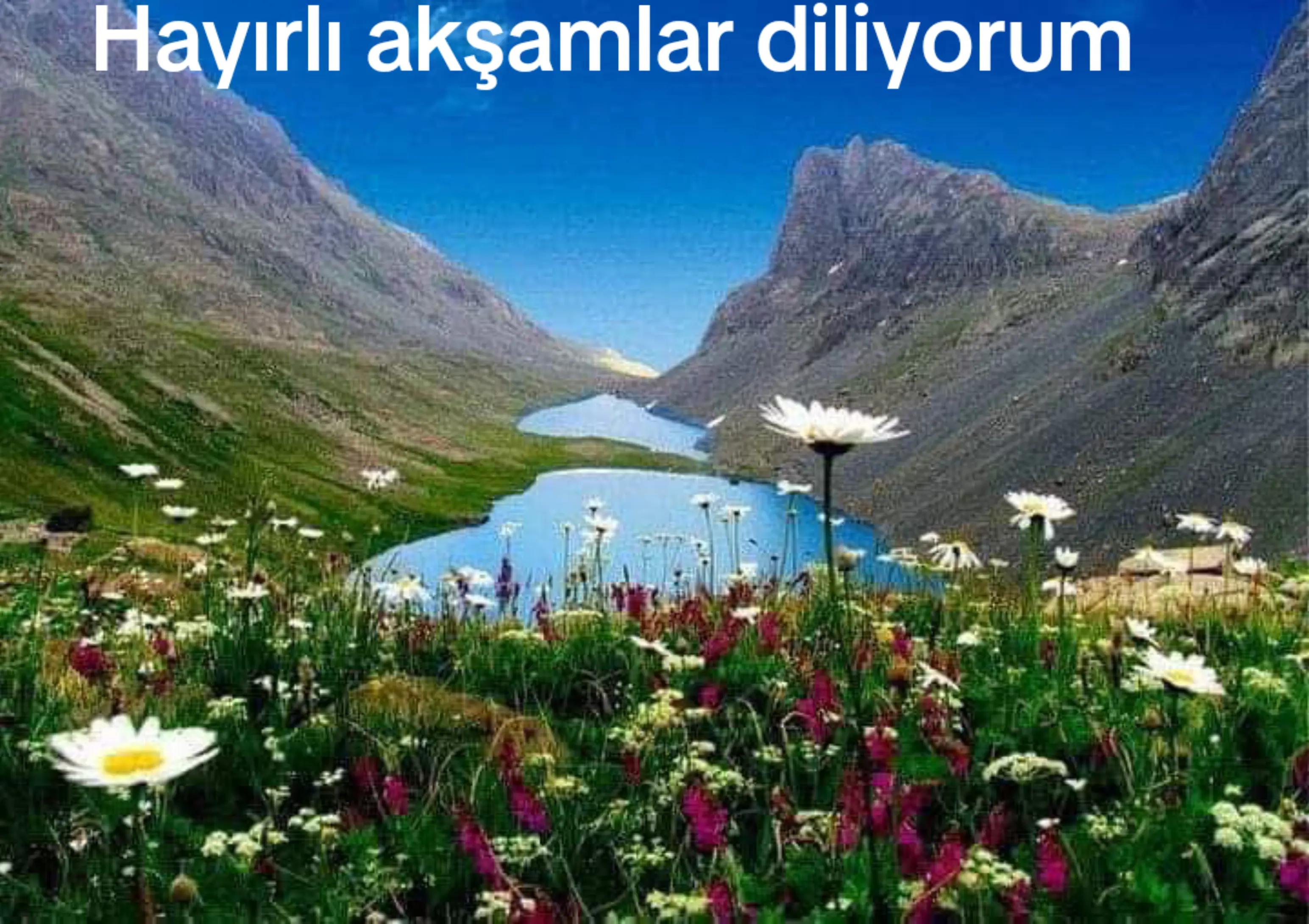 @Şükran Yilmaz