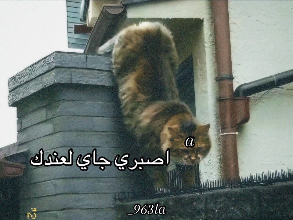@.