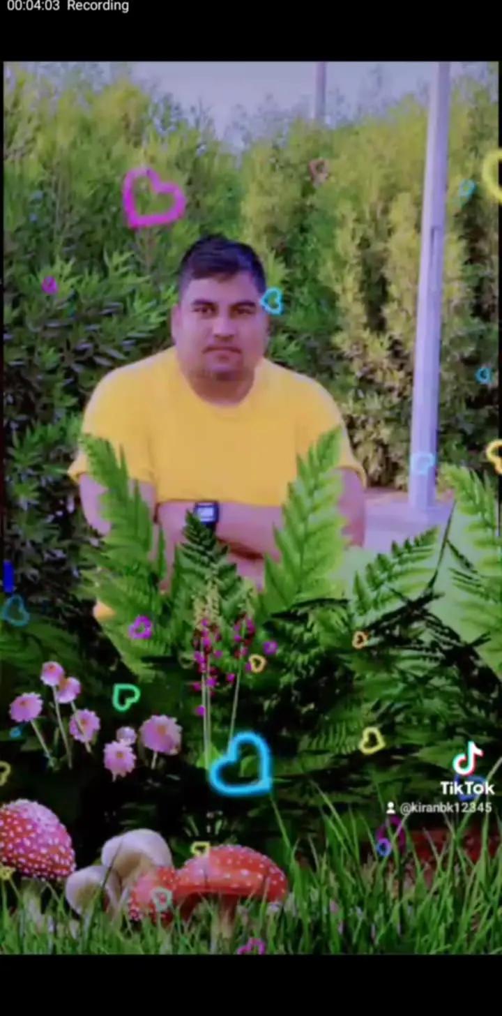 @Birbahudaur