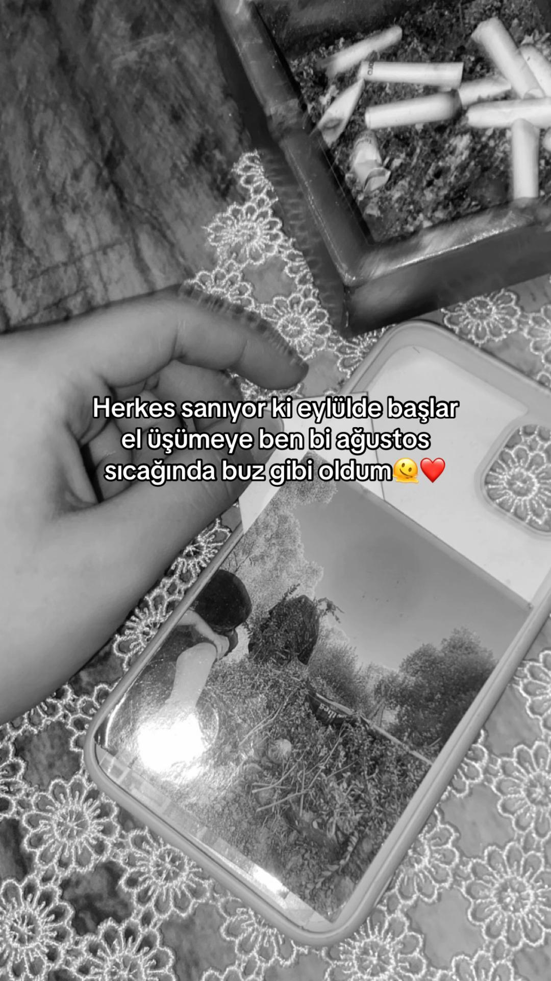 @elifilaydaa01