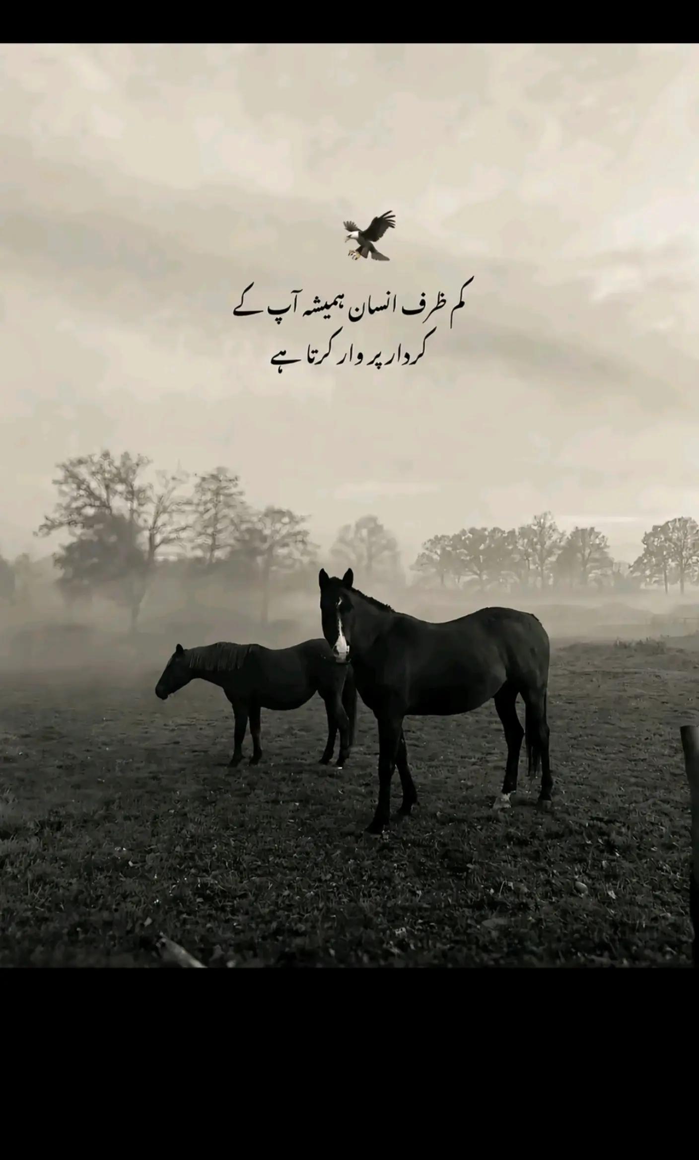 @Nawab G302