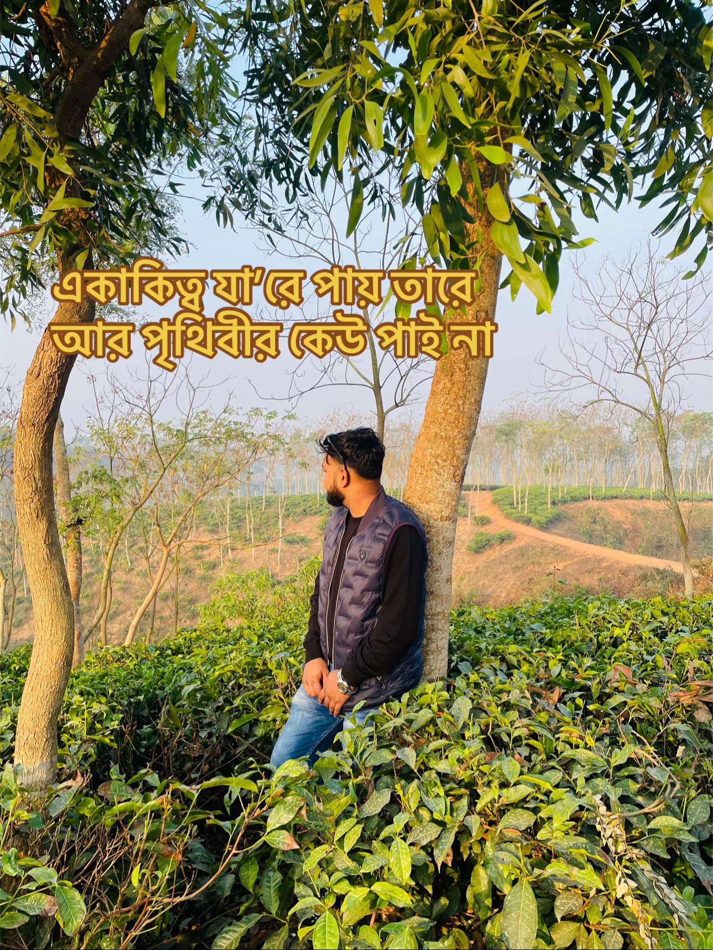 @Mison Ahmed