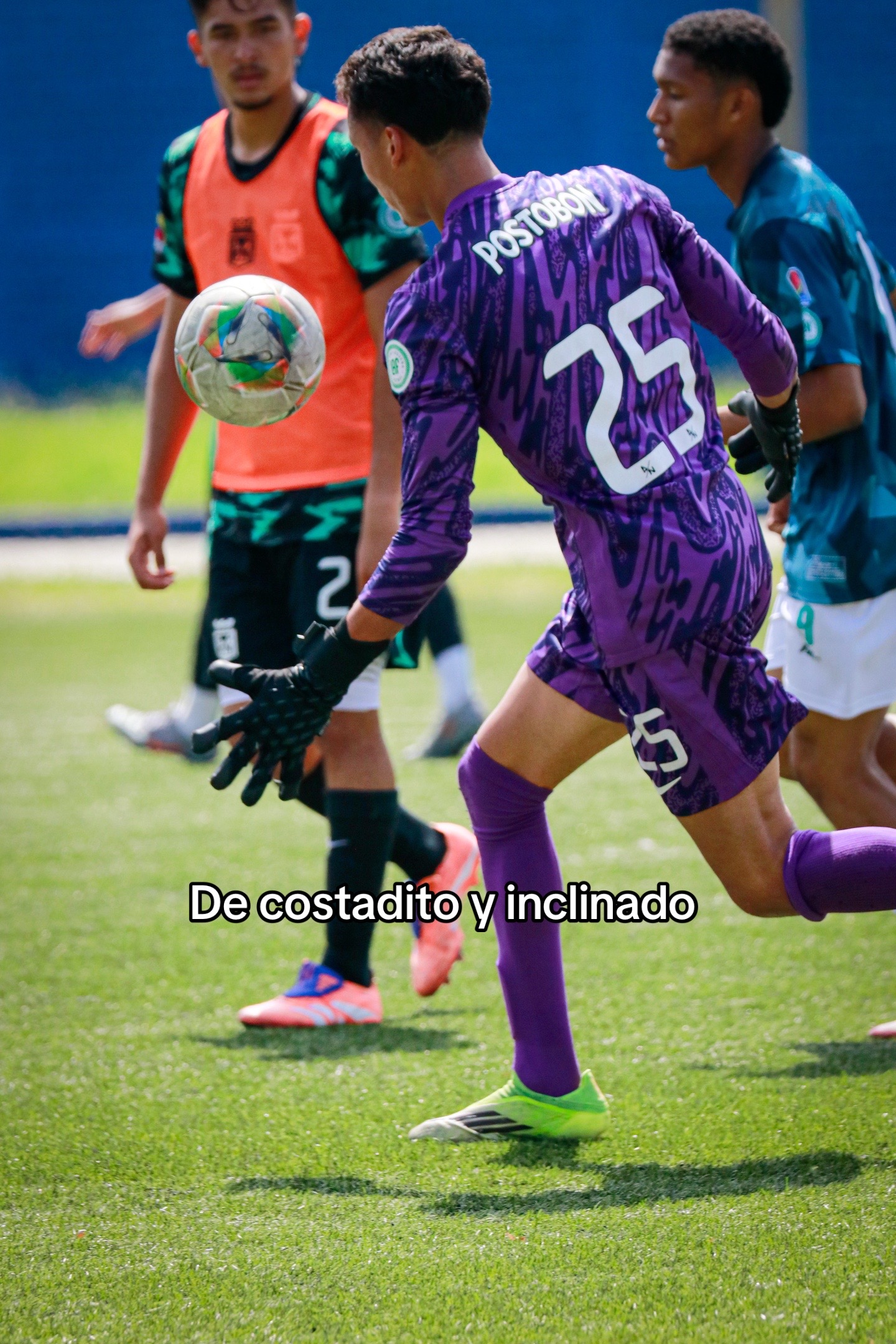 @Pacheco