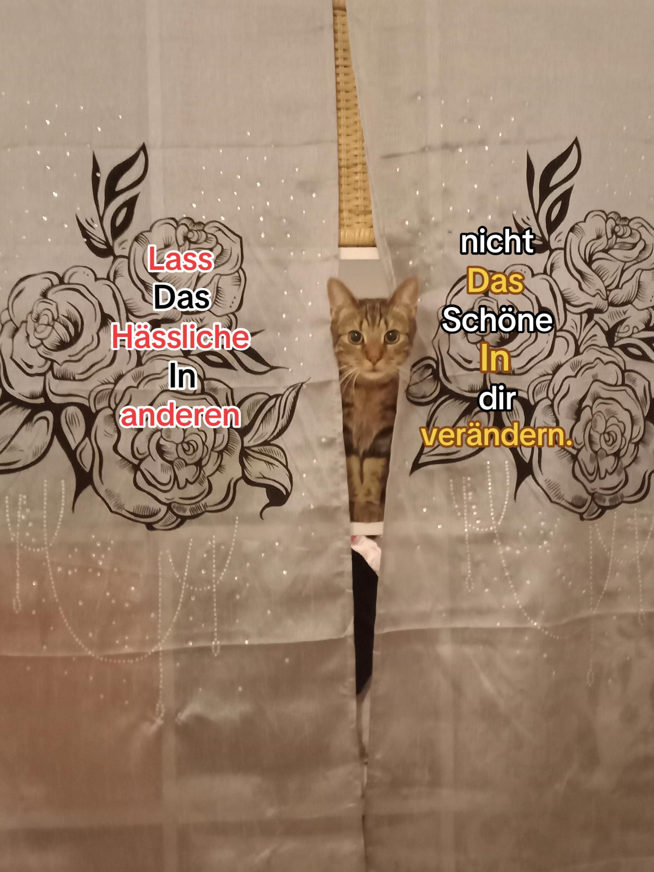 @☦︎L☦︎