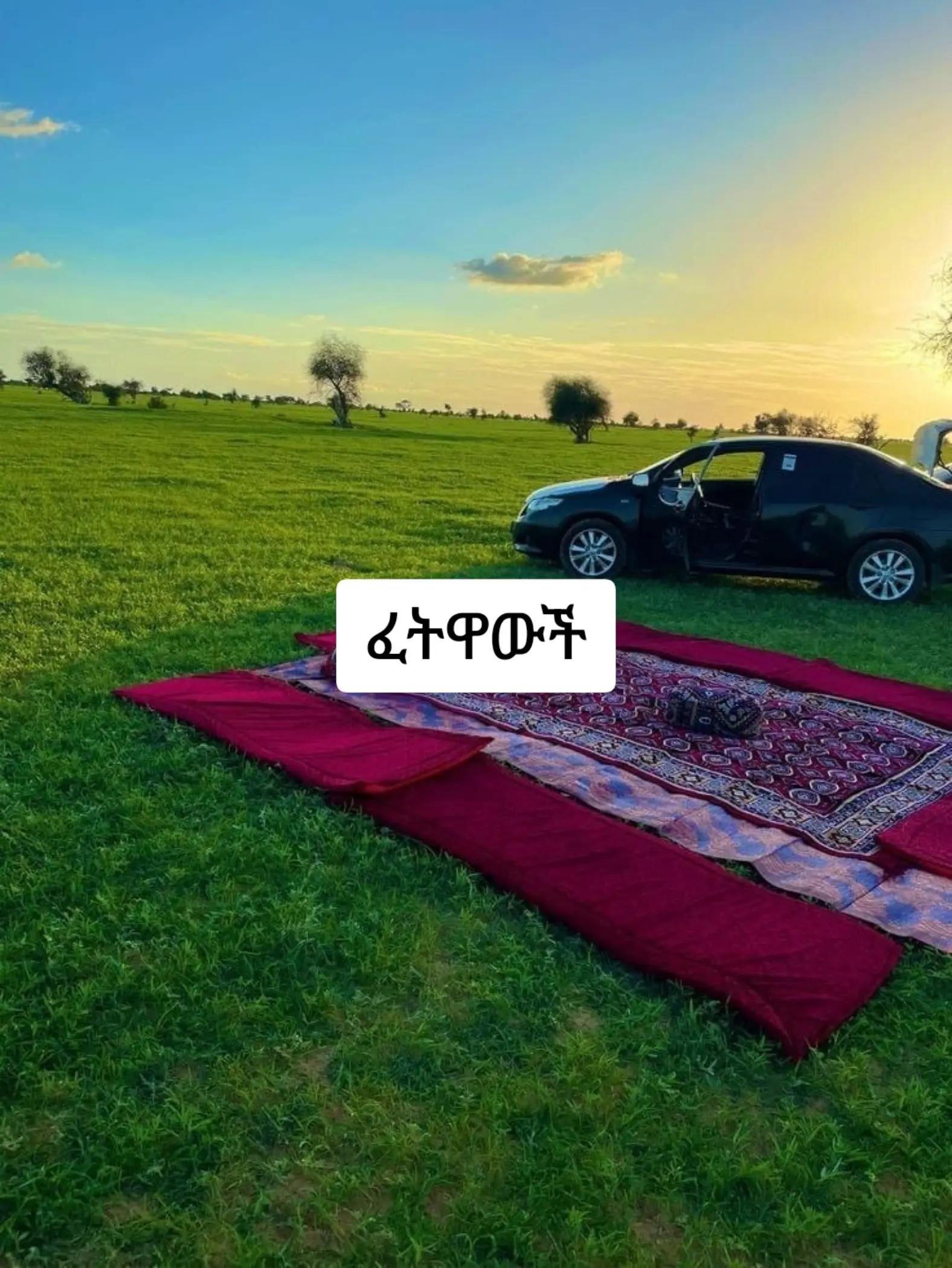@ኢተቂሏህ ነብሴ 1الله كريم🕊🤍Ⓜ