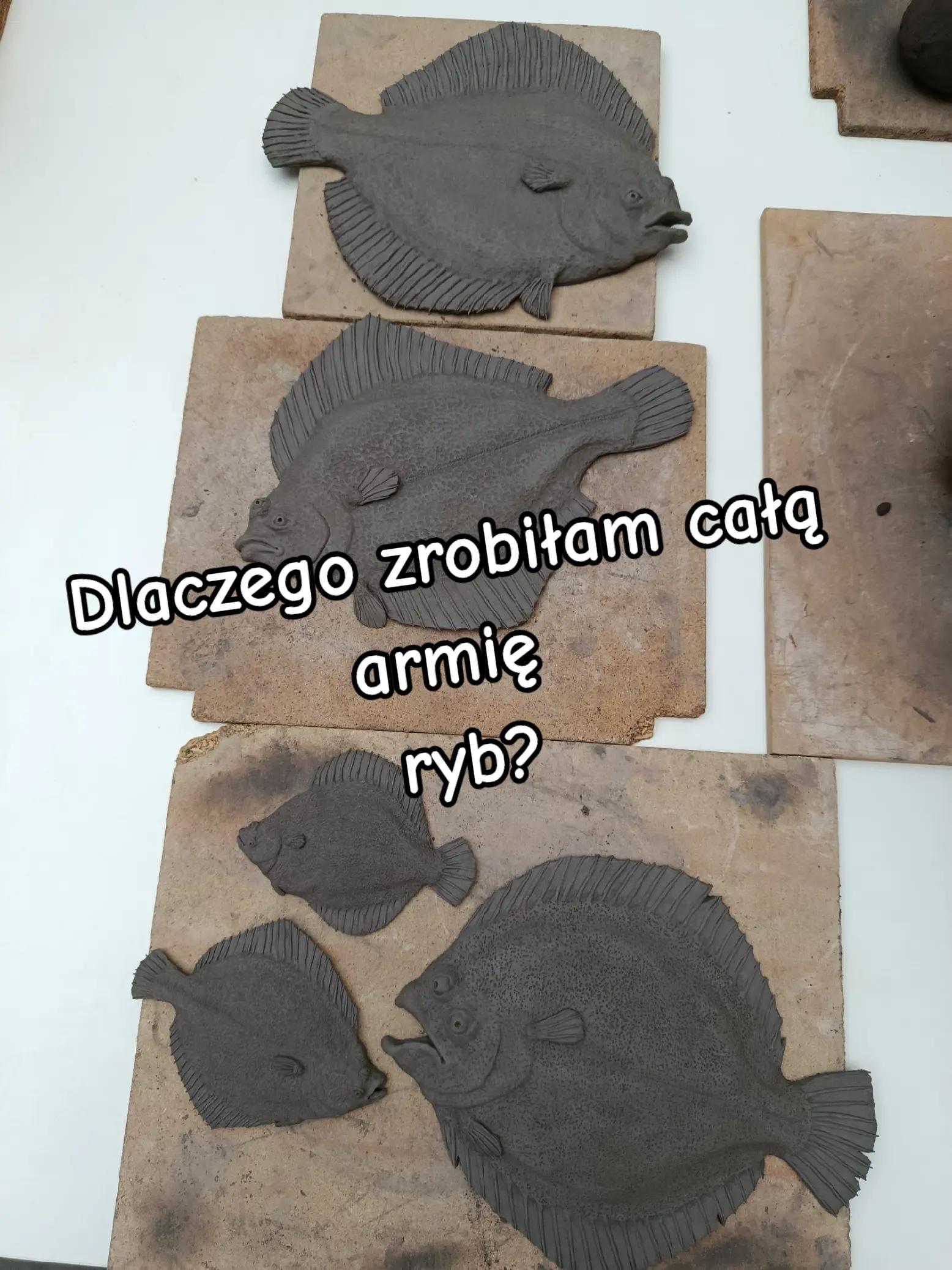 @kaaajaaak🍄(nie pospolity)